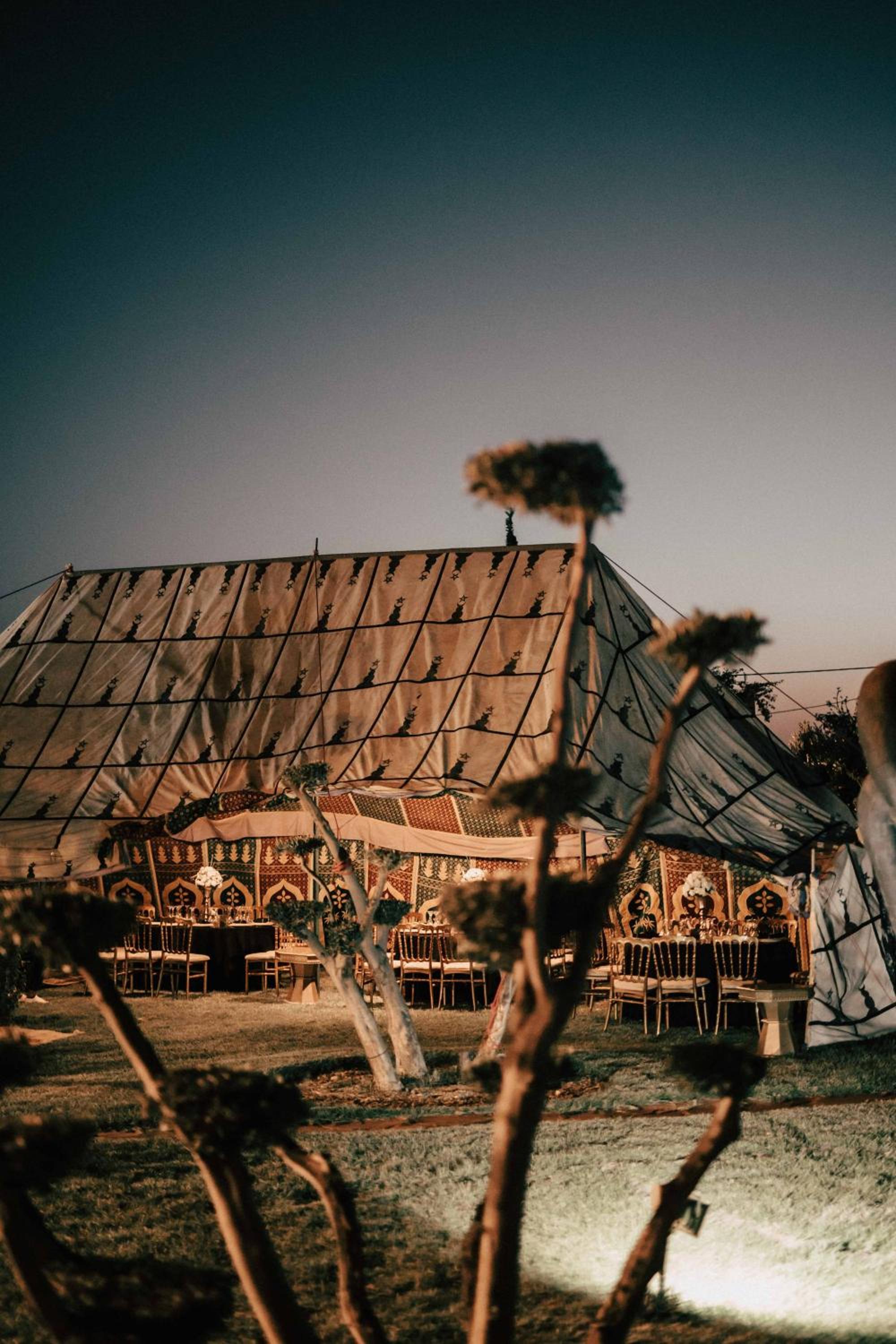 Photo 100