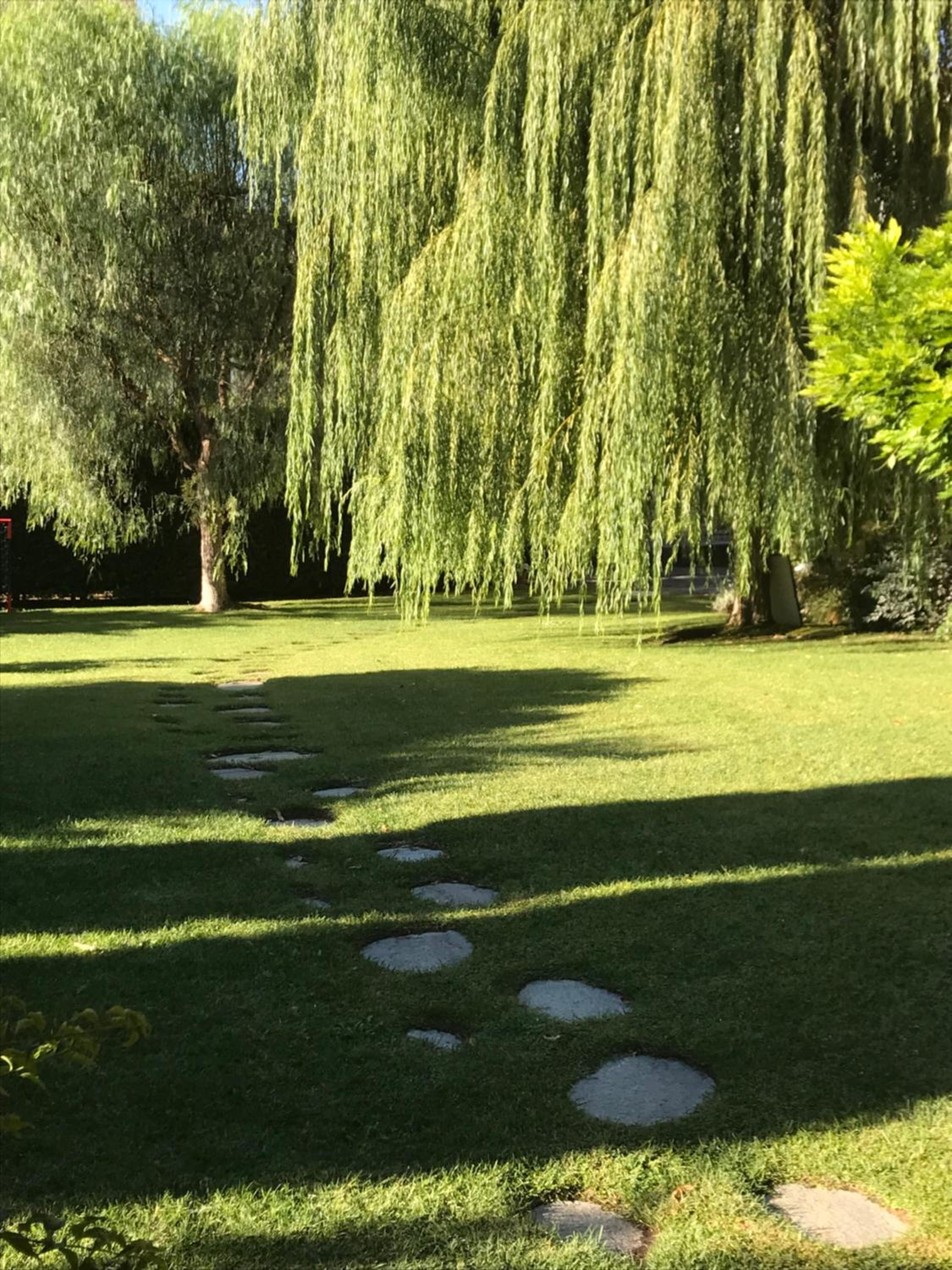 Photo 38