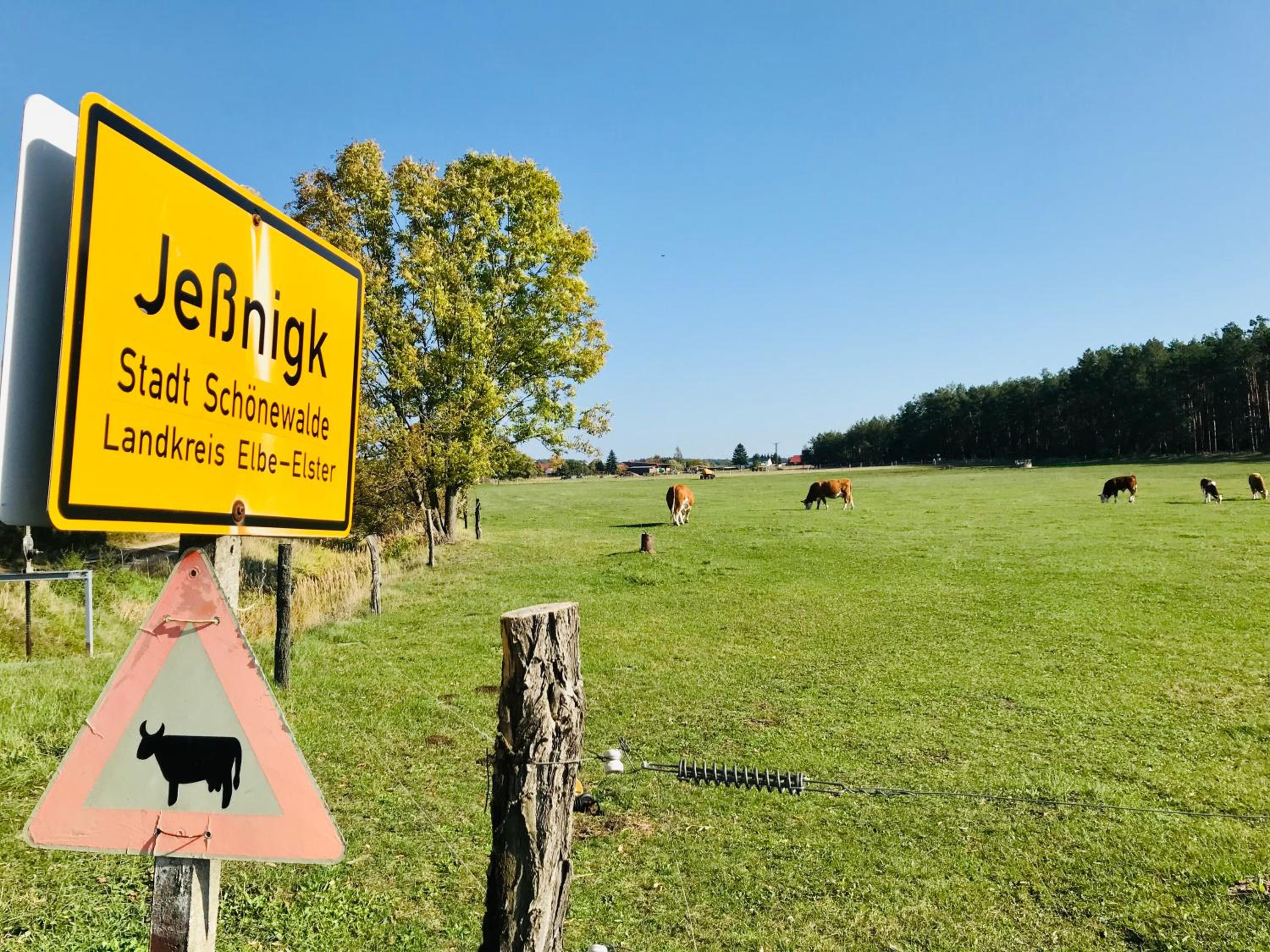 Top-moderne Ferienwohnung und Apartments auf früherem wunderschönen Bauernhof im Elbe-Elster-Kreis in Brandenburg bei Herzberg-Elster, Schönewalde, Holzdor