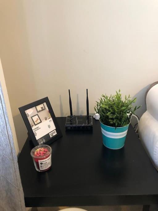 Beautiful & Cozy 1 BR Apartment