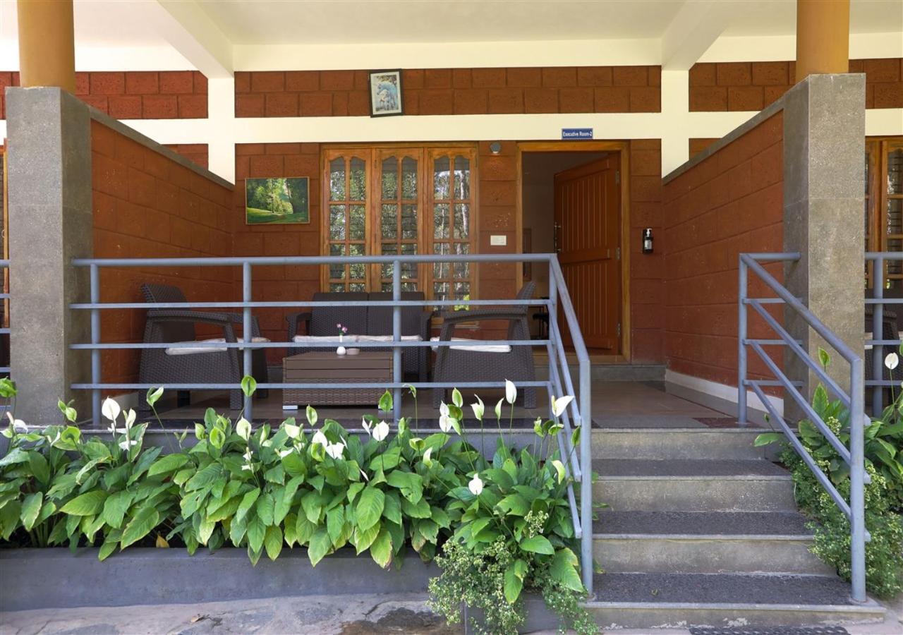 Photo 21