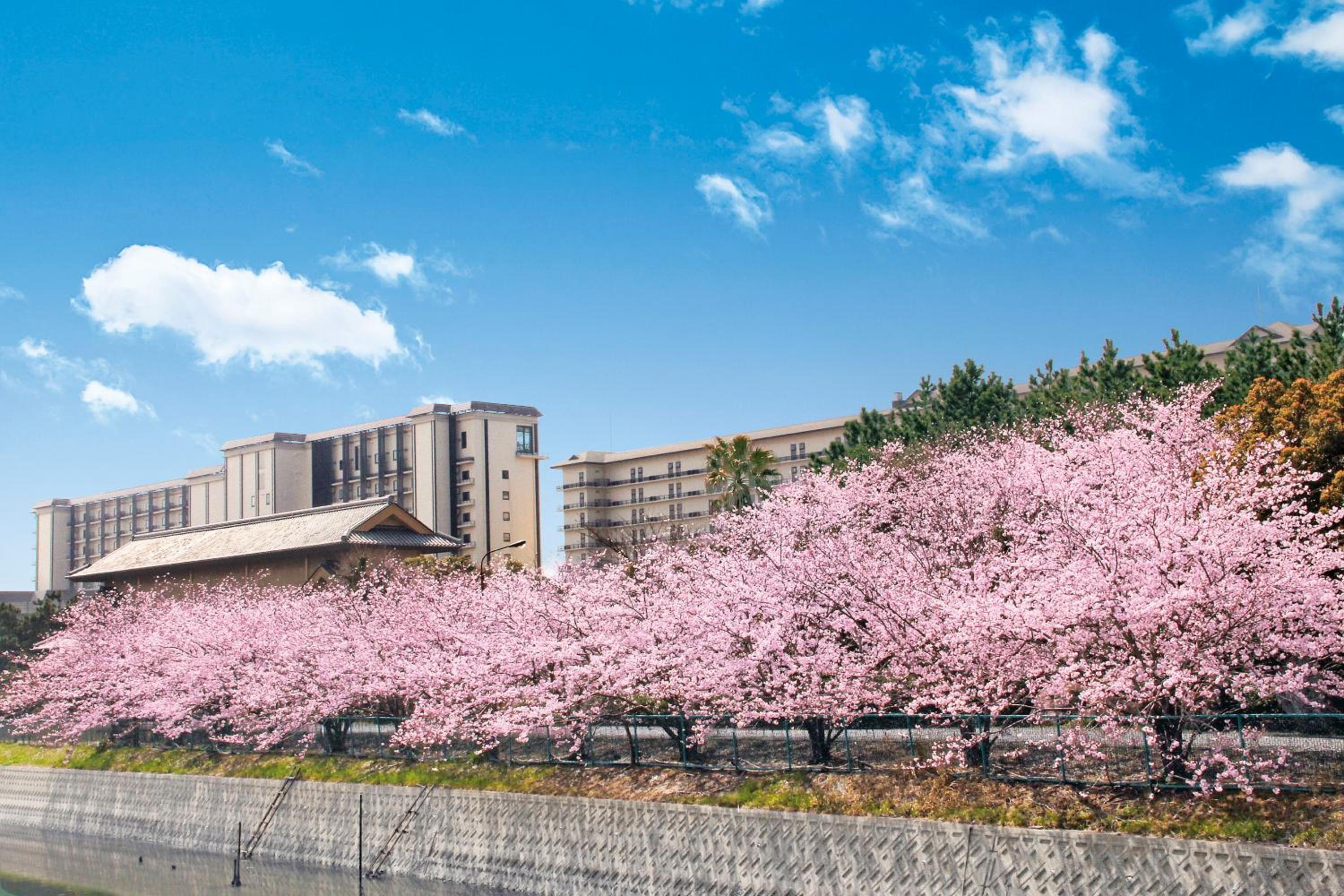 Ryugujo Spa Hotel Mikazuki Fujimitei