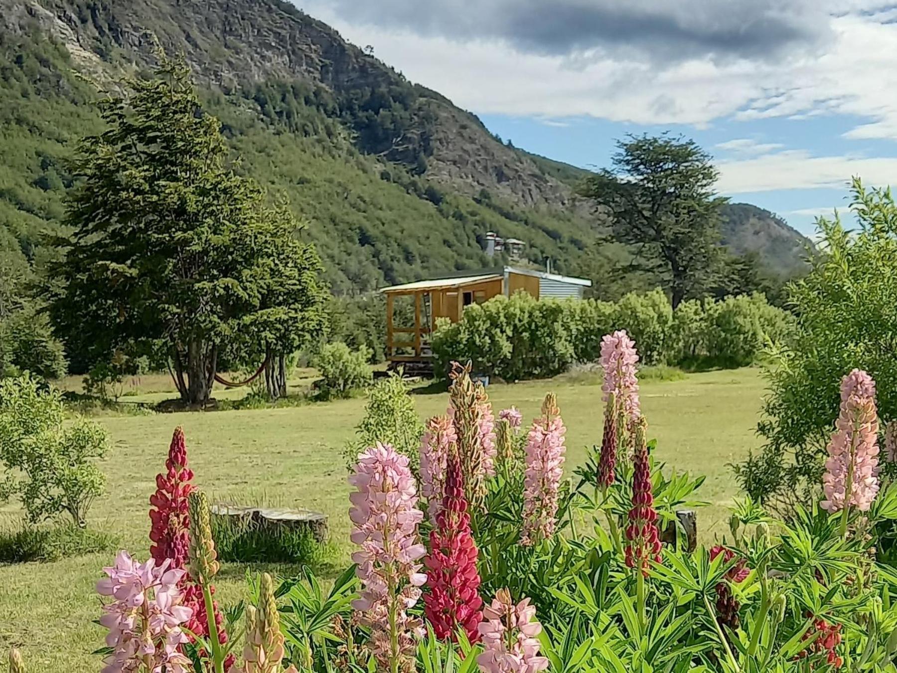 LA CABAÑA DEL CAMPO
