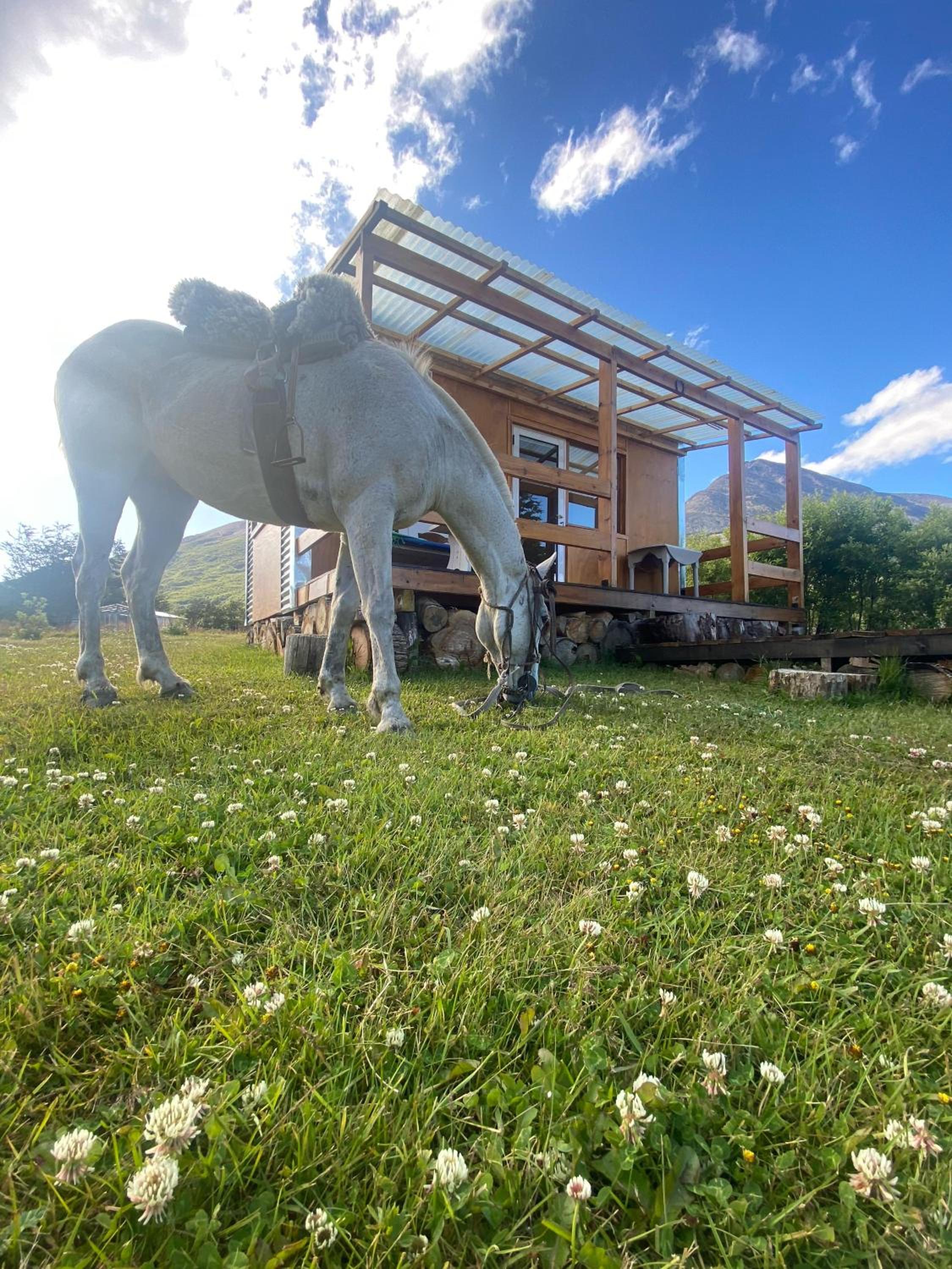 LA CABAÑA DEL CAMPO