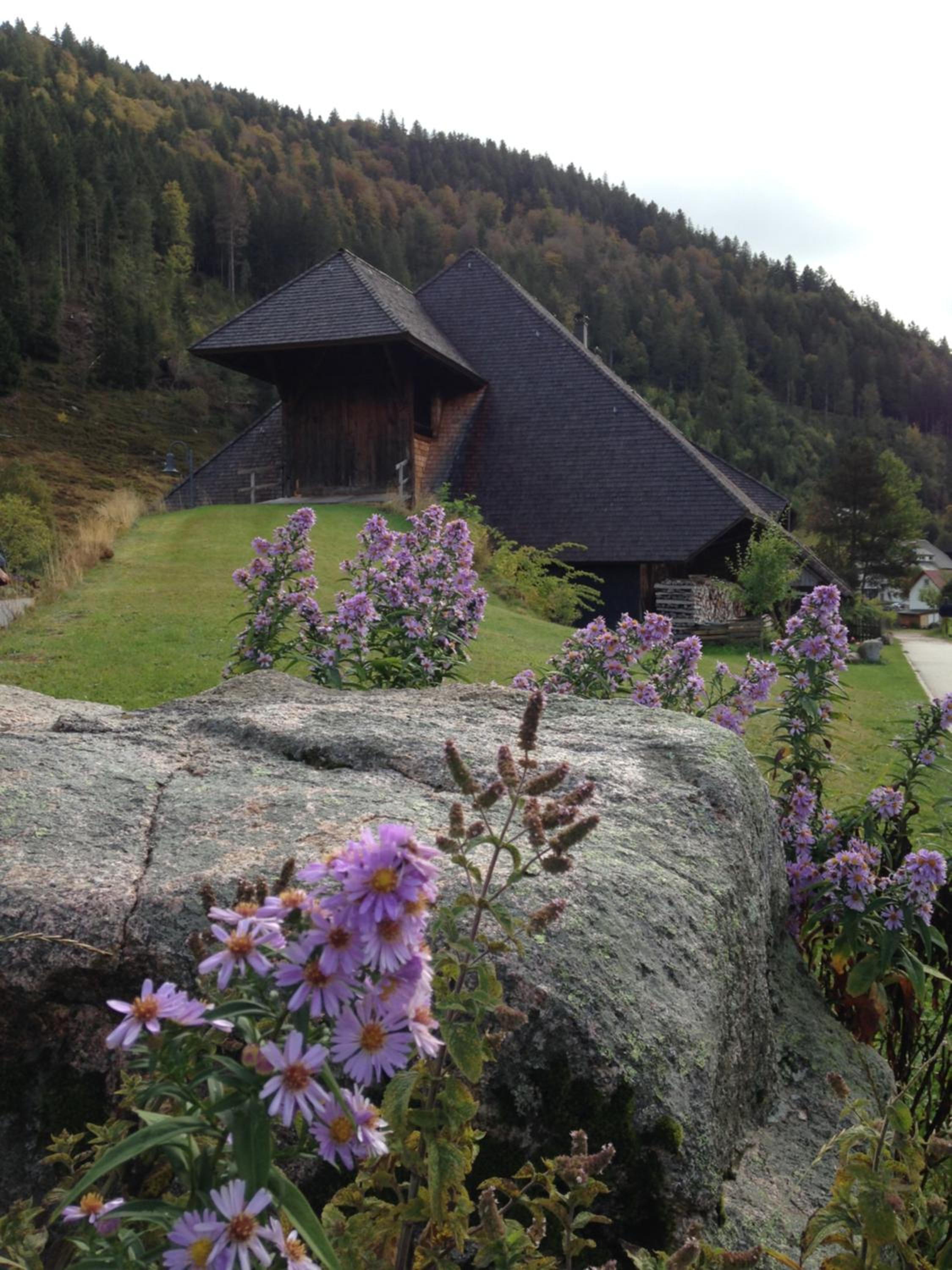 Photo 13