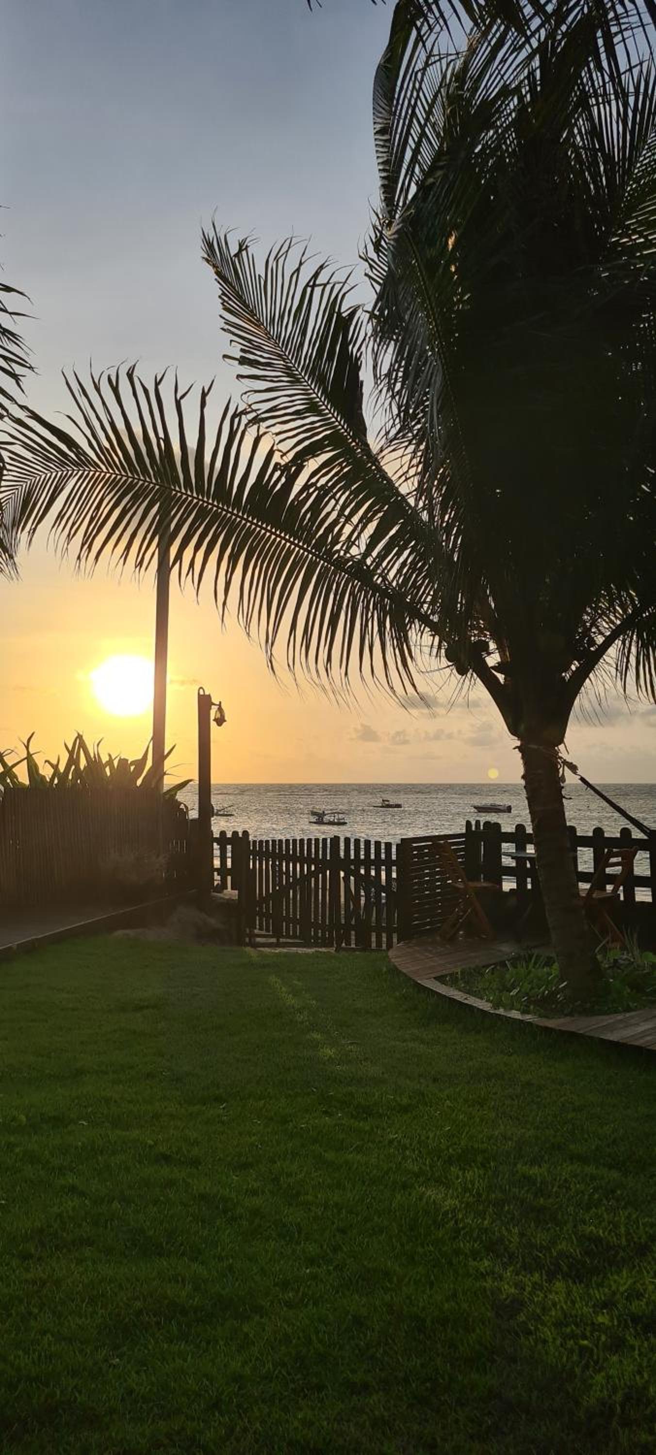 Photo 37