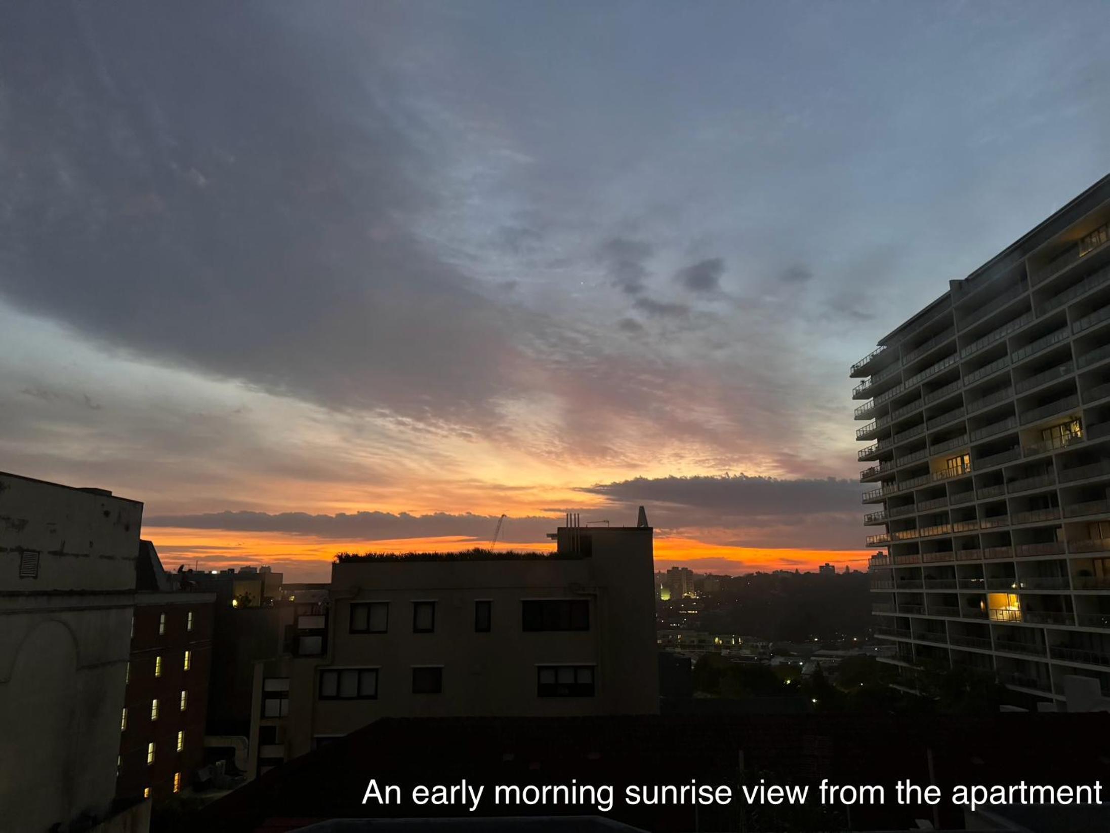 Sunny, Cozy, Central City 2BR Apartment - Free Parking 