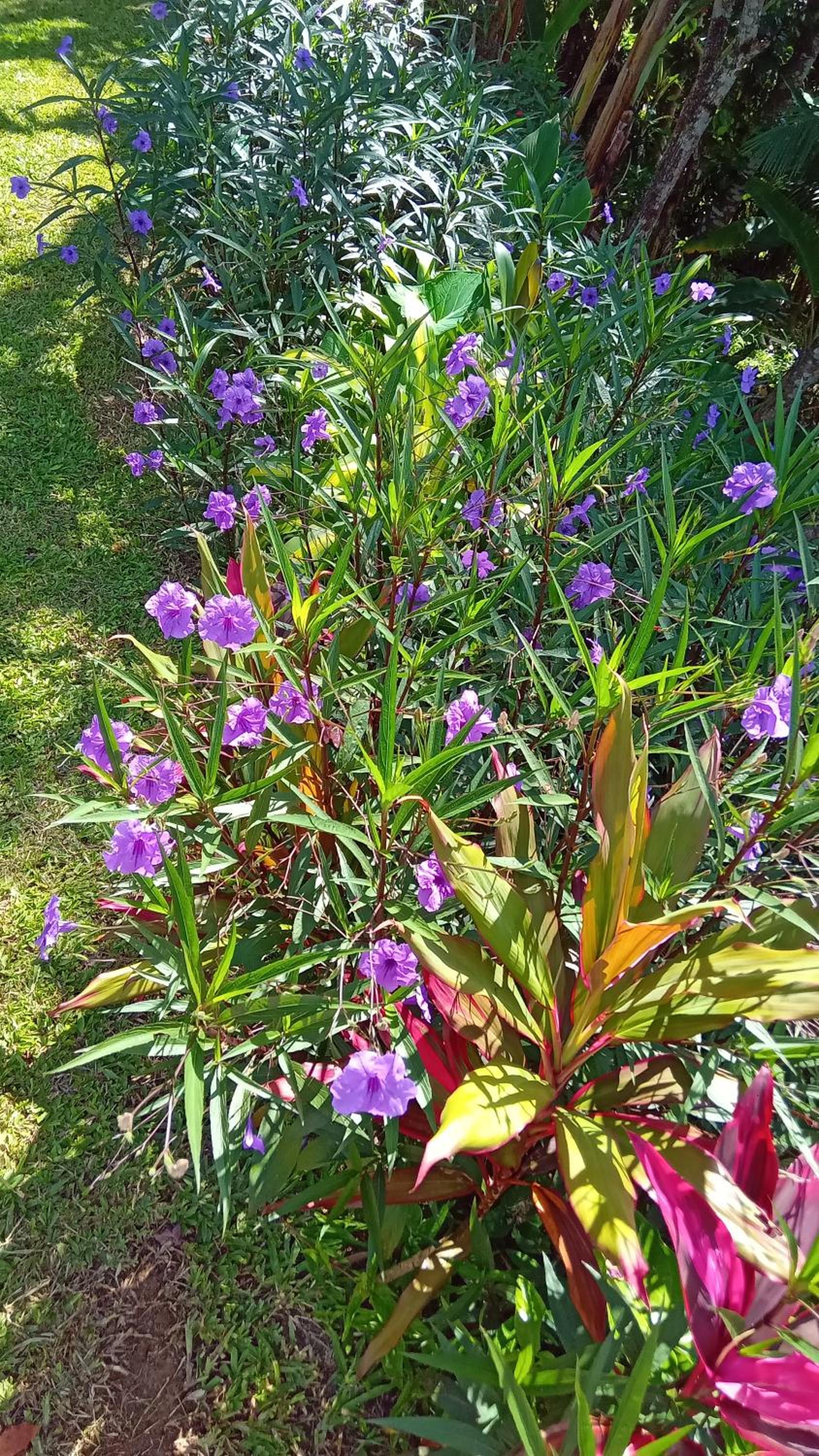 Pousada Hang Jurerê-Floripa Conectada com a Natureza