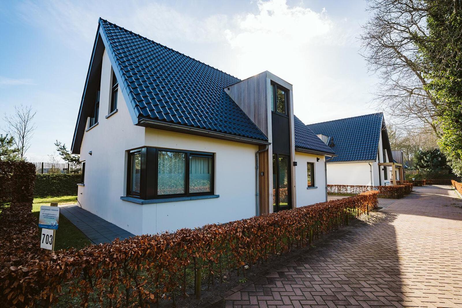 Luxury Villa at Villapark Duinzicht (Villa 703) - Ouddorp view 4