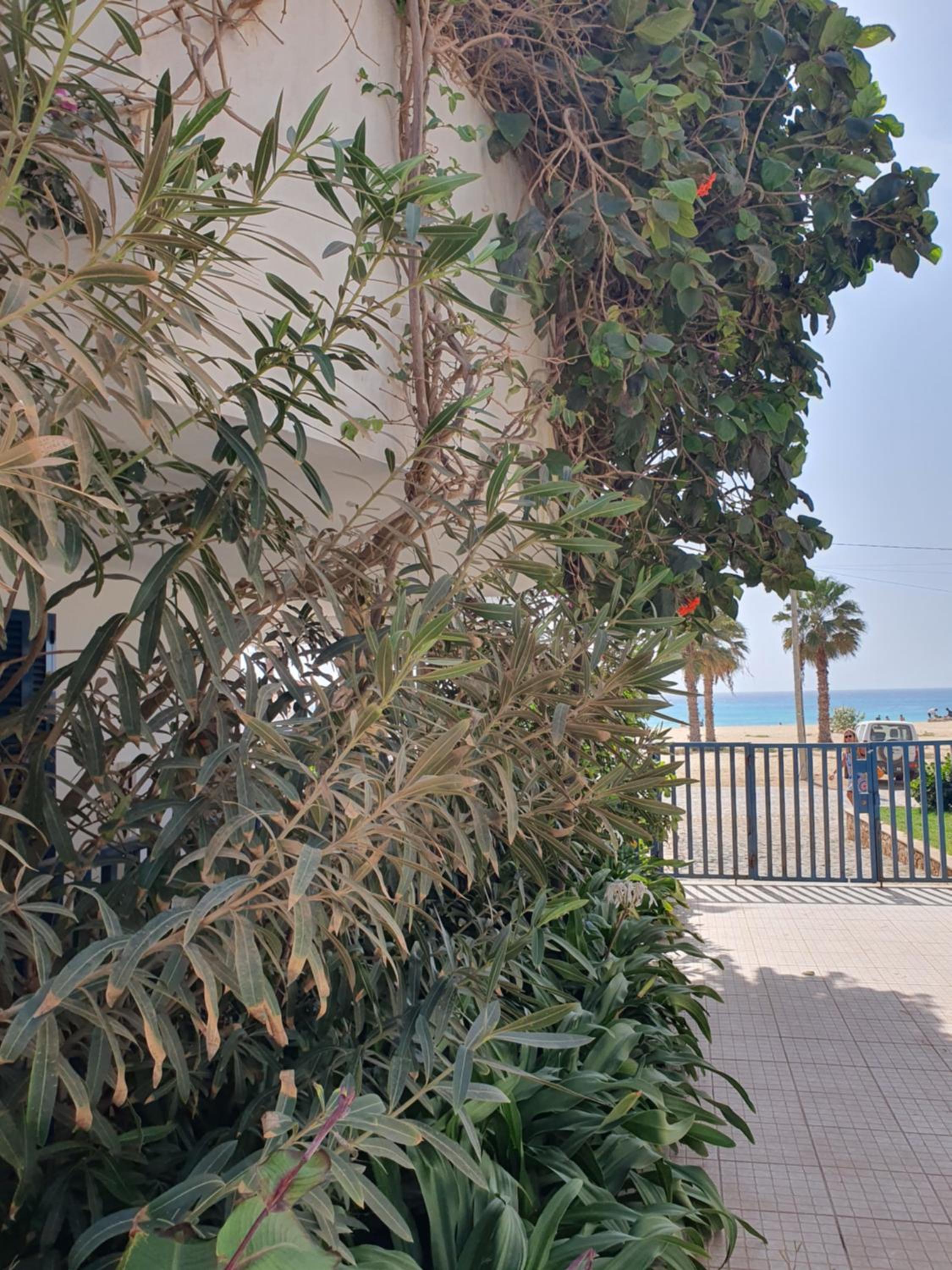 Holiday Properties Leme Bedje - Wi-fi