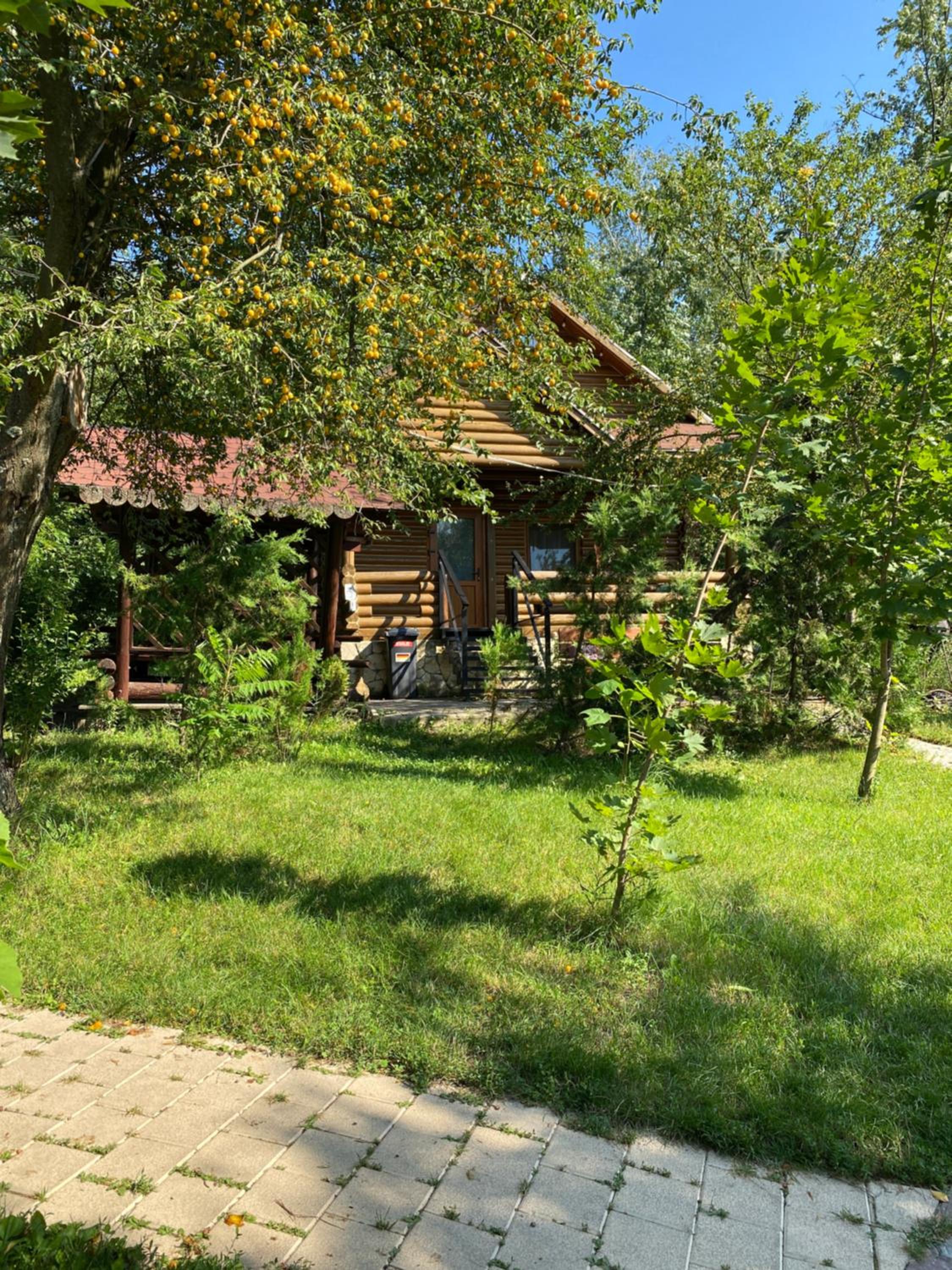 Photo 44