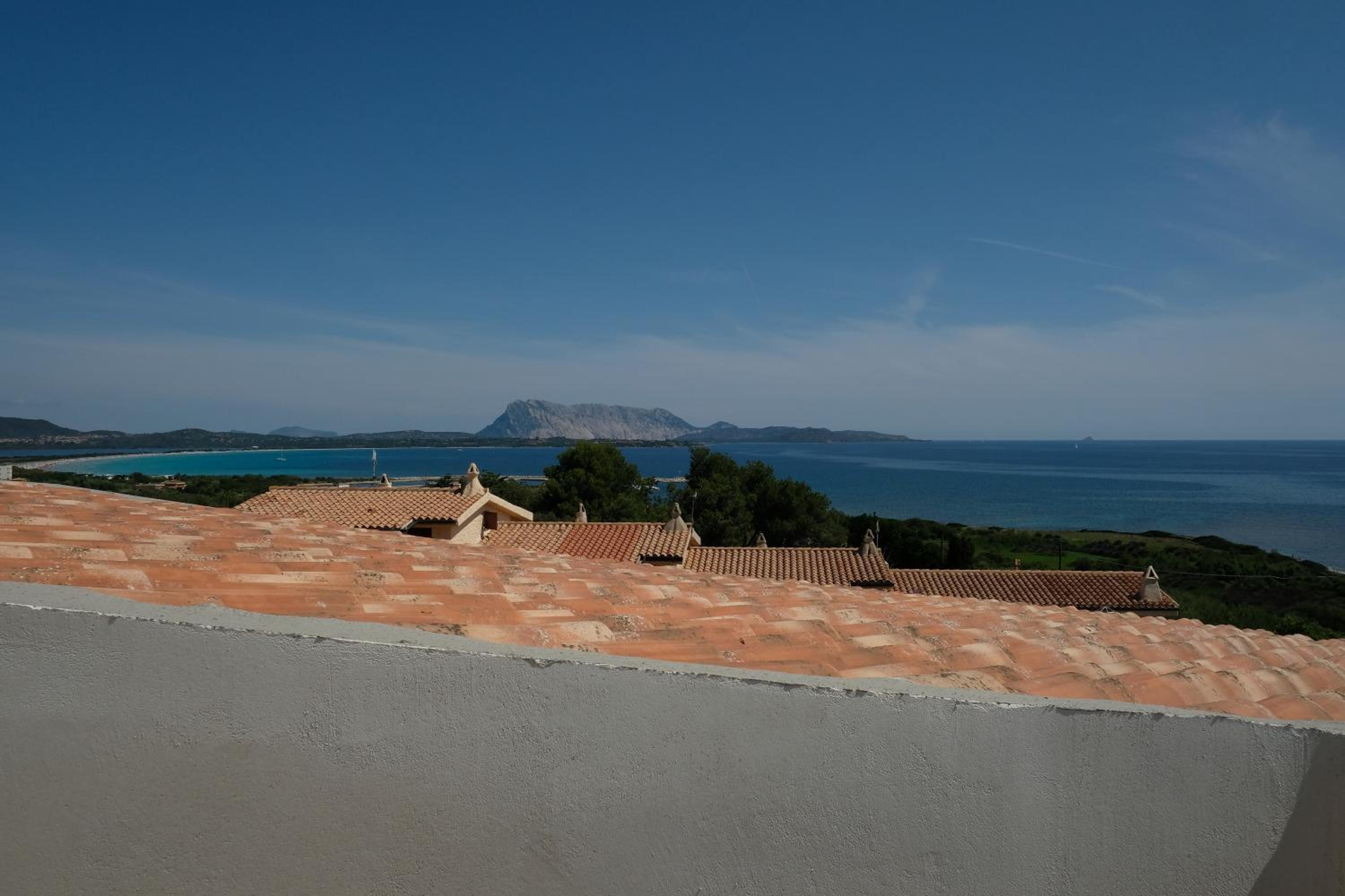 Amoreddu