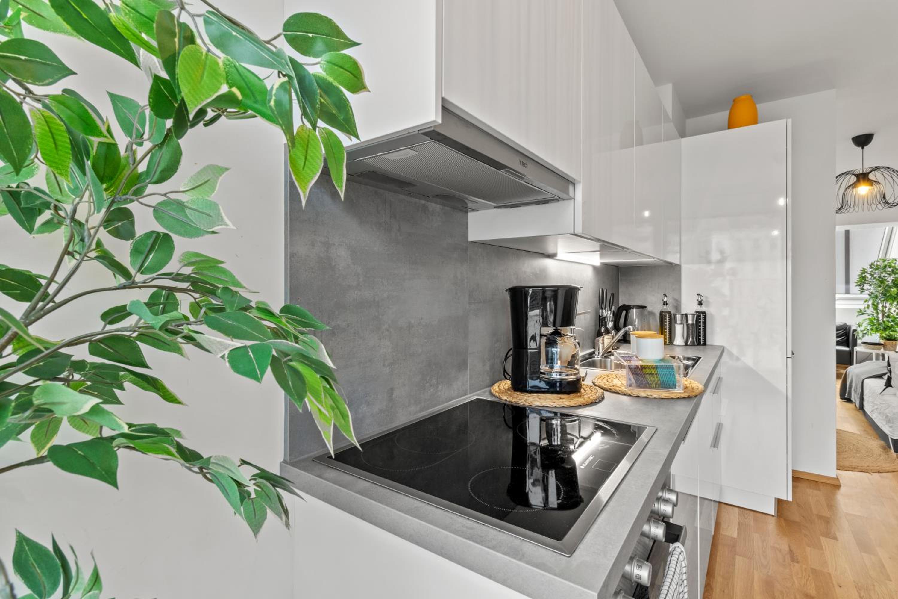 Long Term Stay - Near Klinik Floridsdorf - On-Site Parking for 19,90 Eur