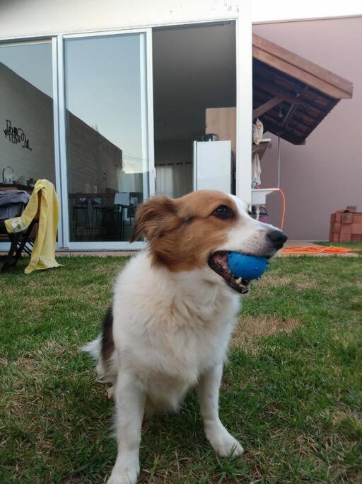 Casa com Piscina e ótimo custo benefício!!