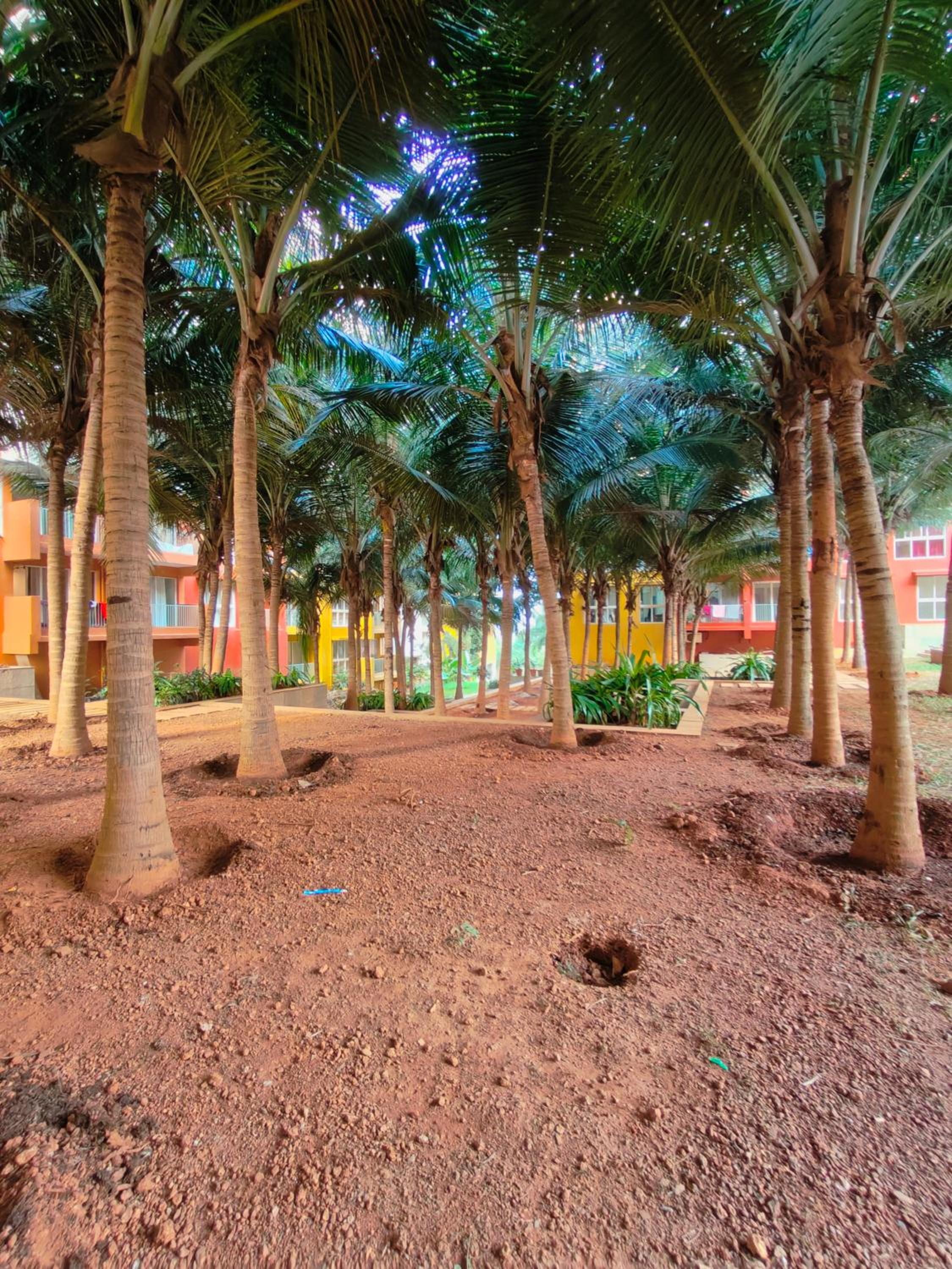 Glistening 2BHK Pool View, Resort Living, 10 mins from Dabolim Airport by Zennova Stays view 3