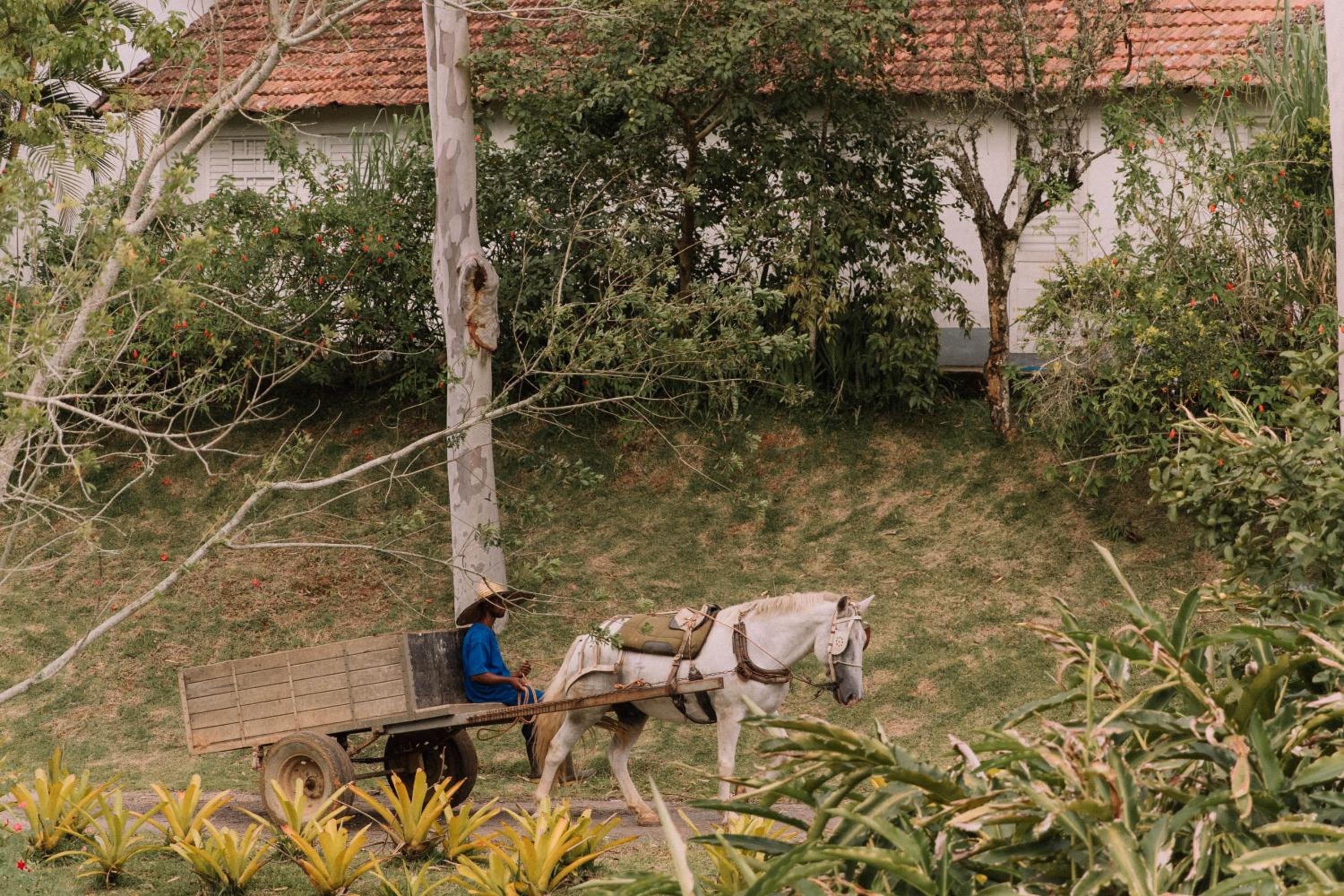 Resort Fazenda 3 Pinheiros