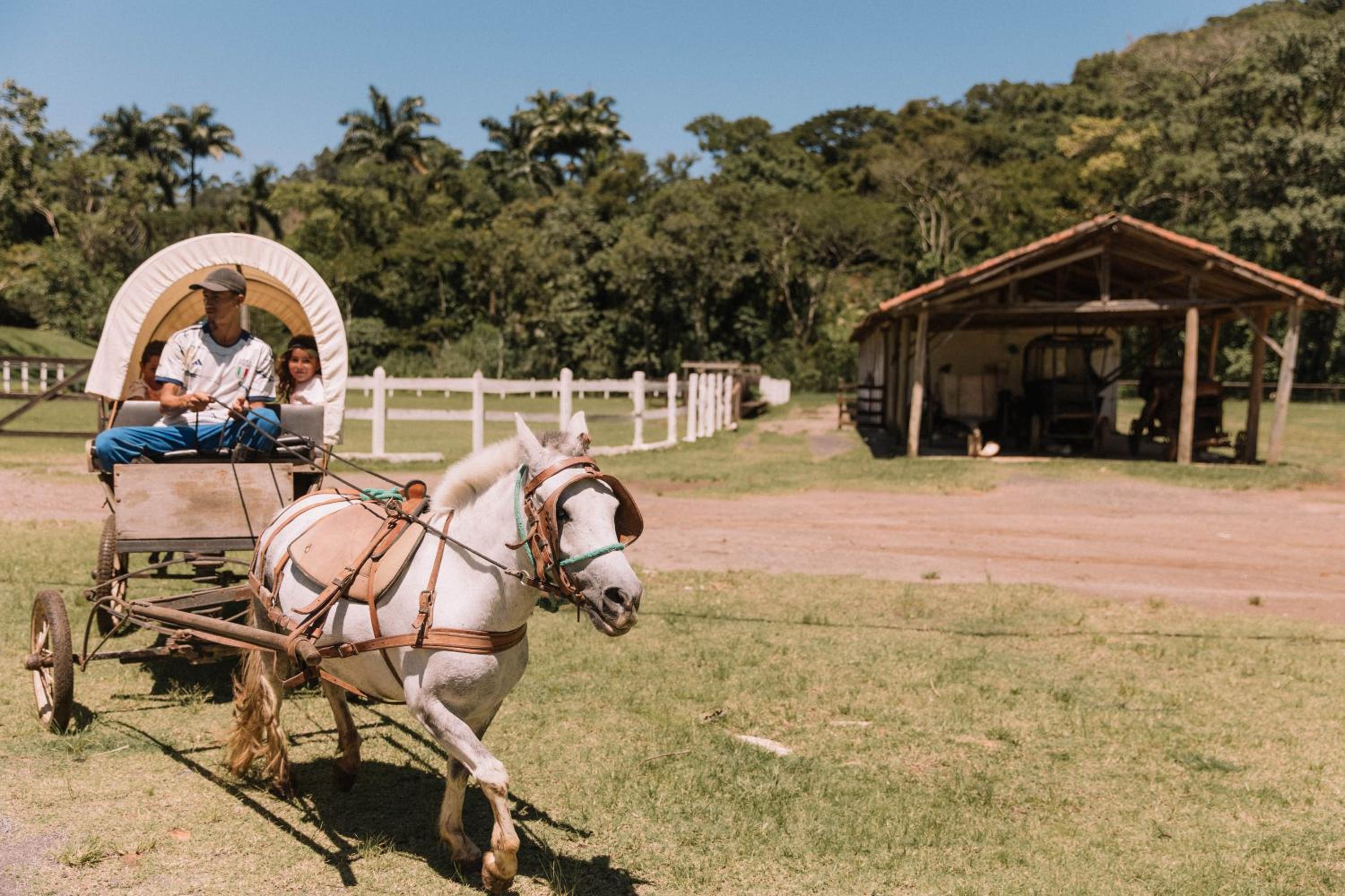 Resort Fazenda 3 Pinheiros