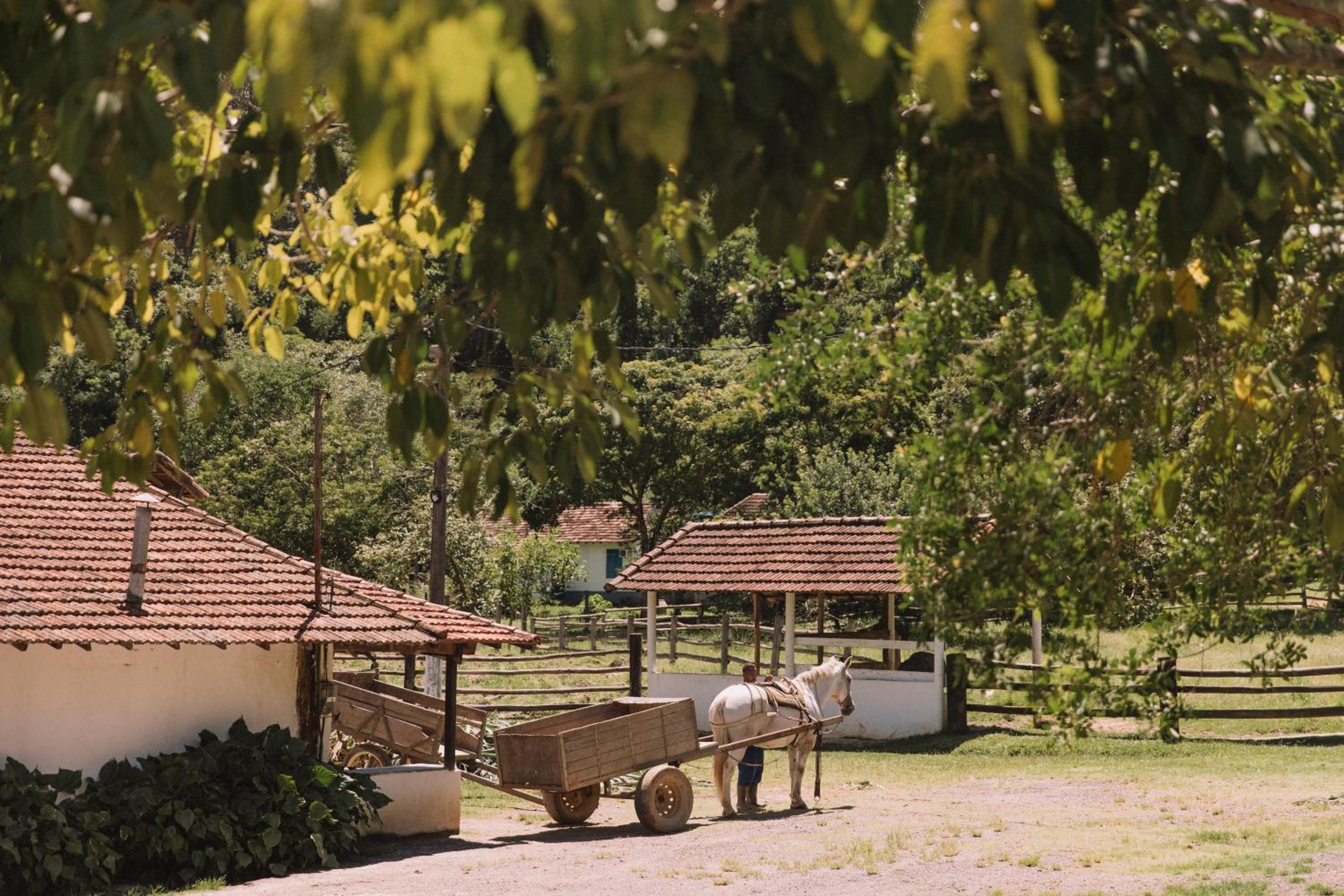 Resort Fazenda 3 Pinheiros
