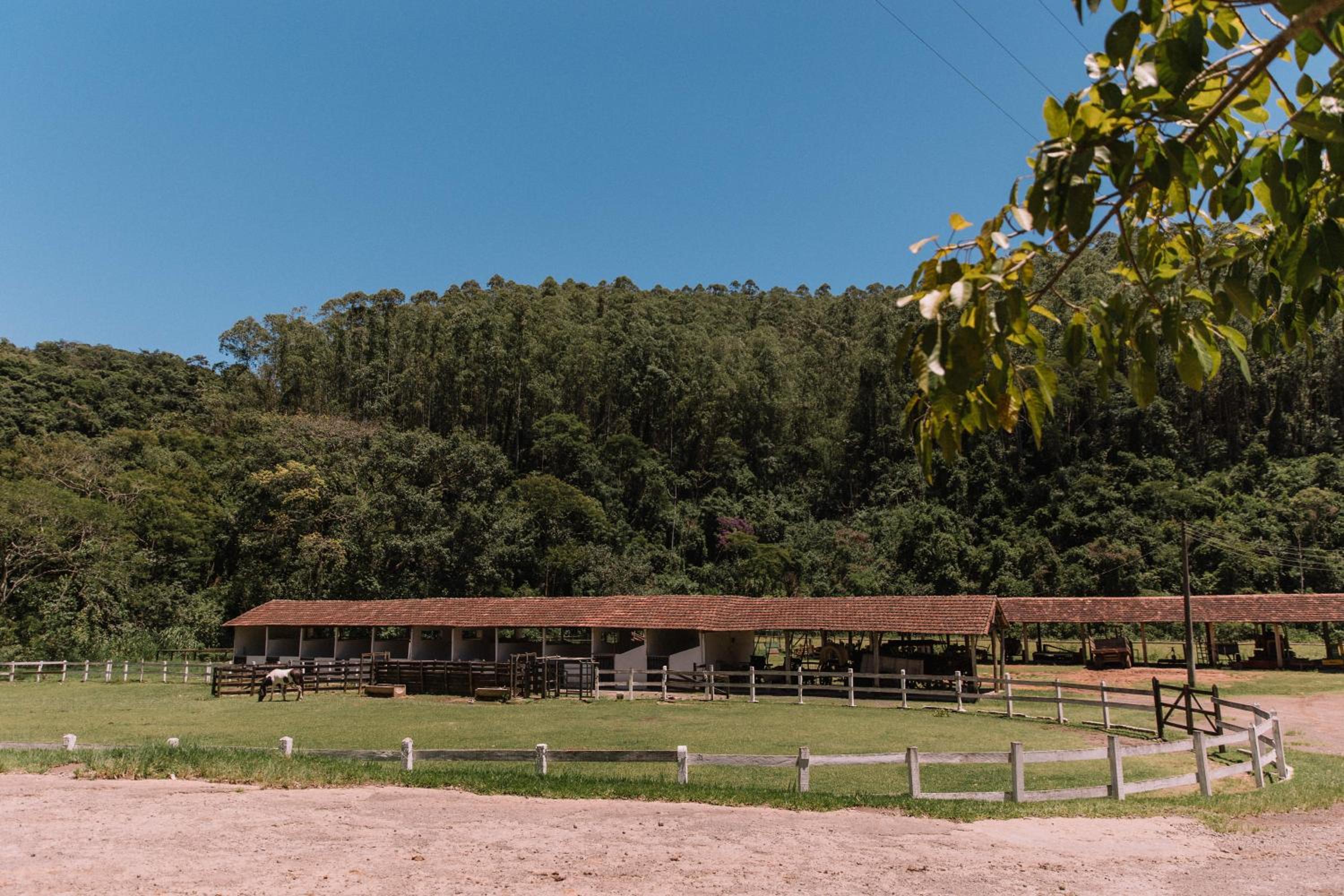 Resort Fazenda 3 Pinheiros