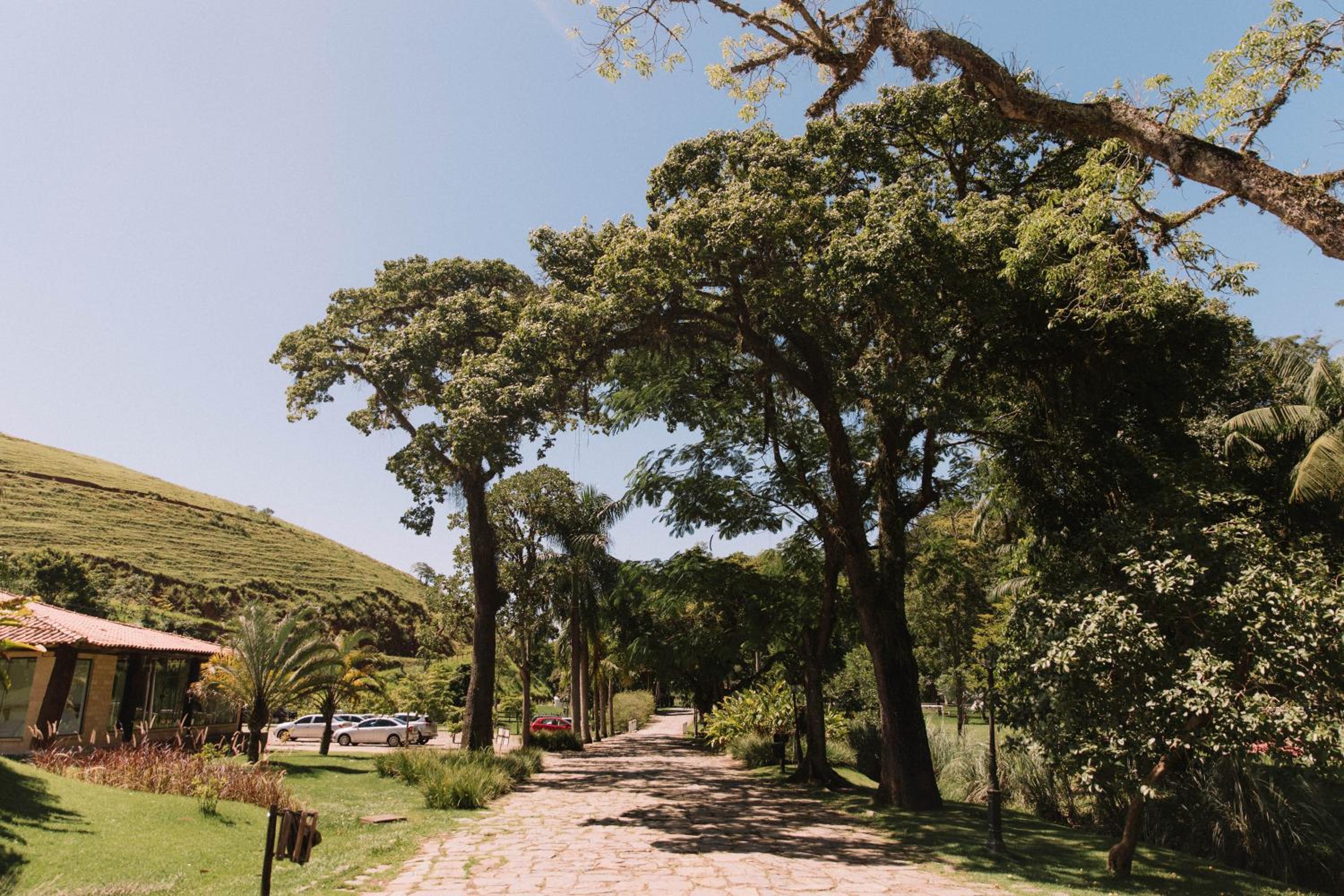 Resort Fazenda 3 Pinheiros