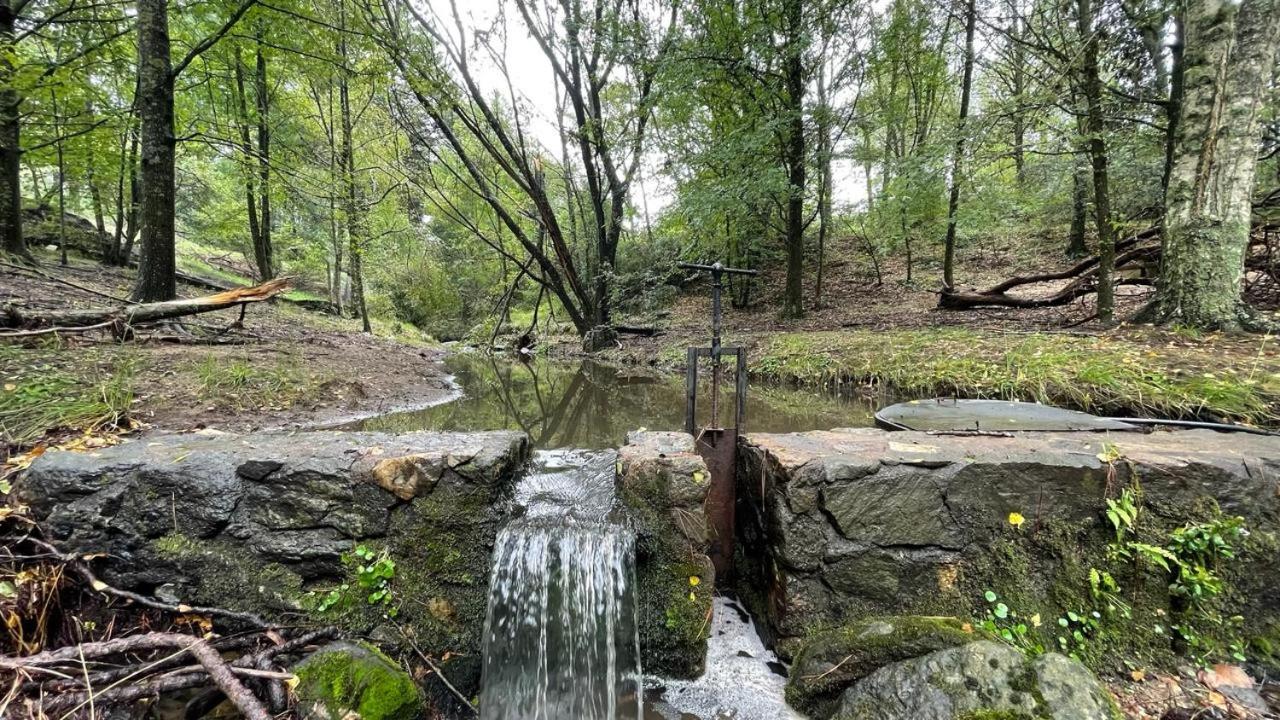 Chalet del Bosque Villa Berna