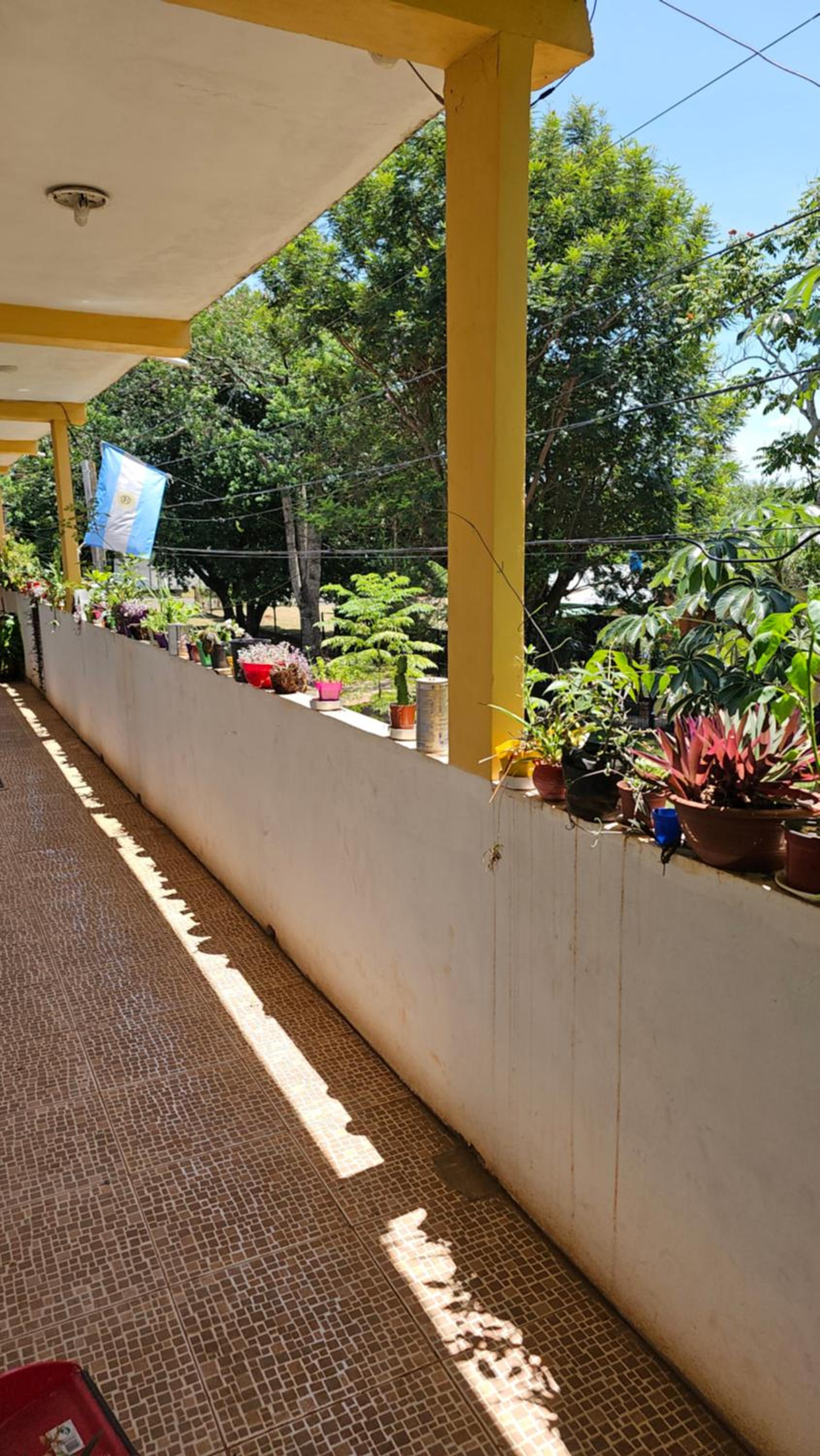Hotel Los Chow Chow