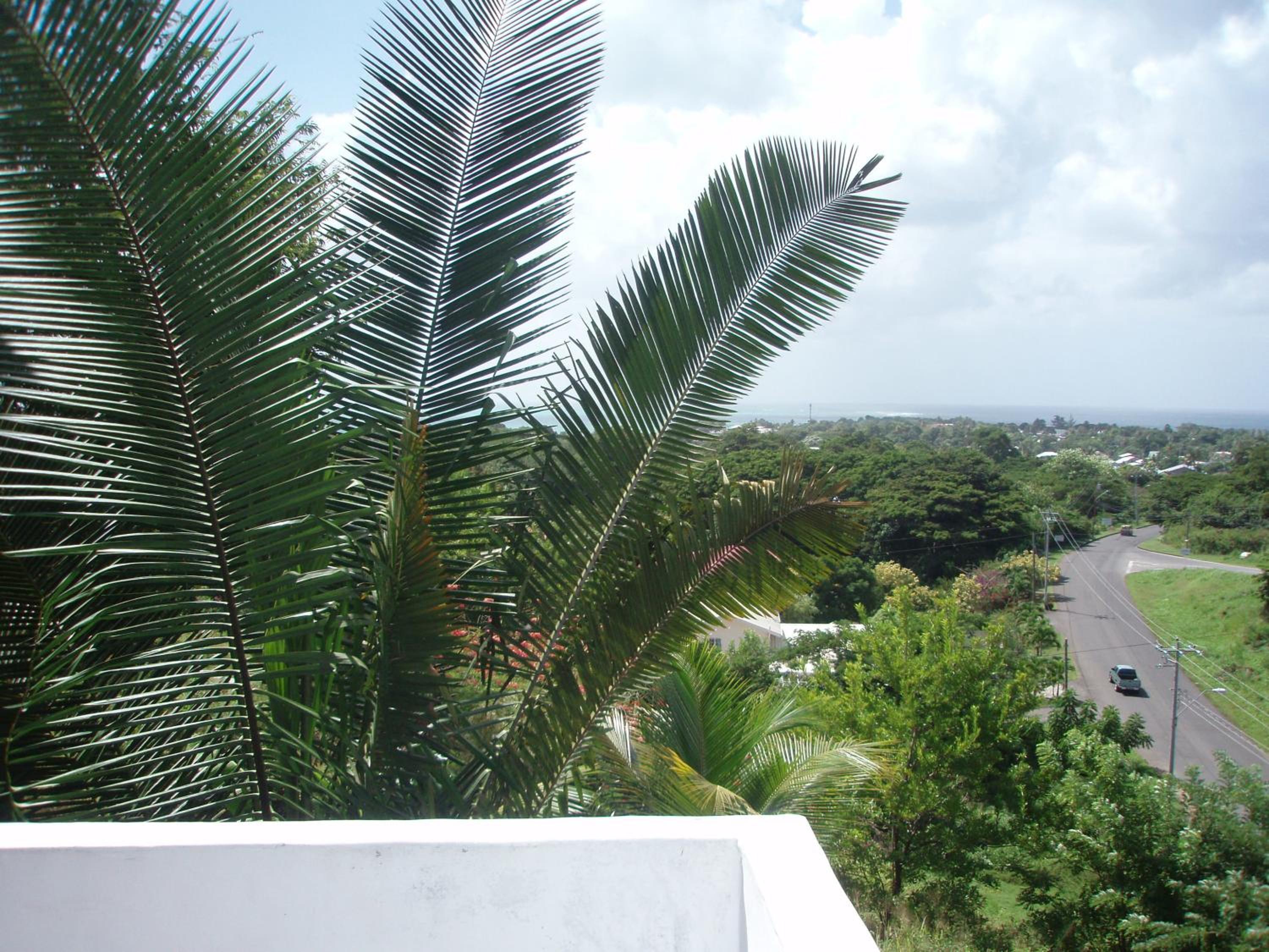 The Nest Tobago Apartments