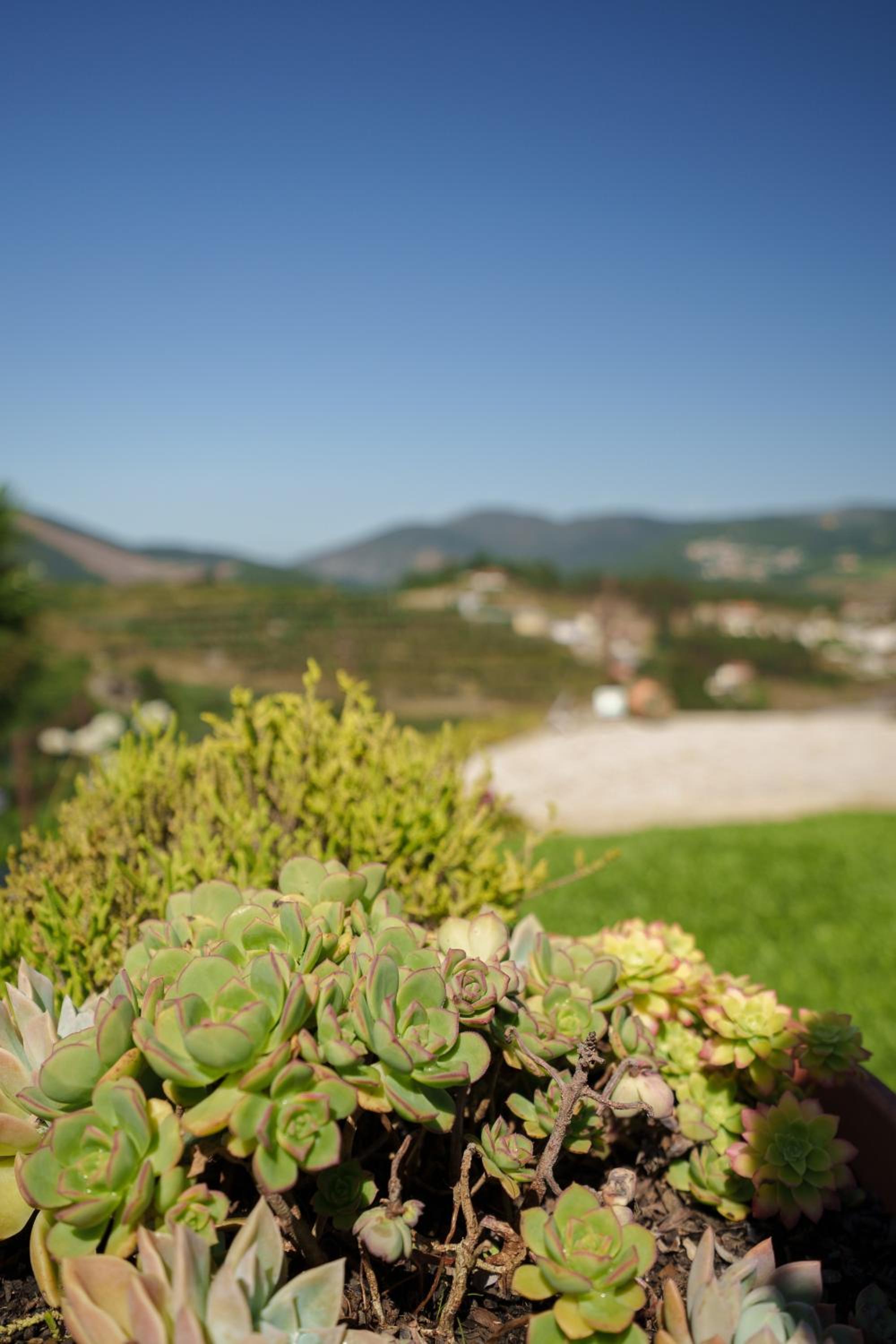 Casa de Belmonte view 5