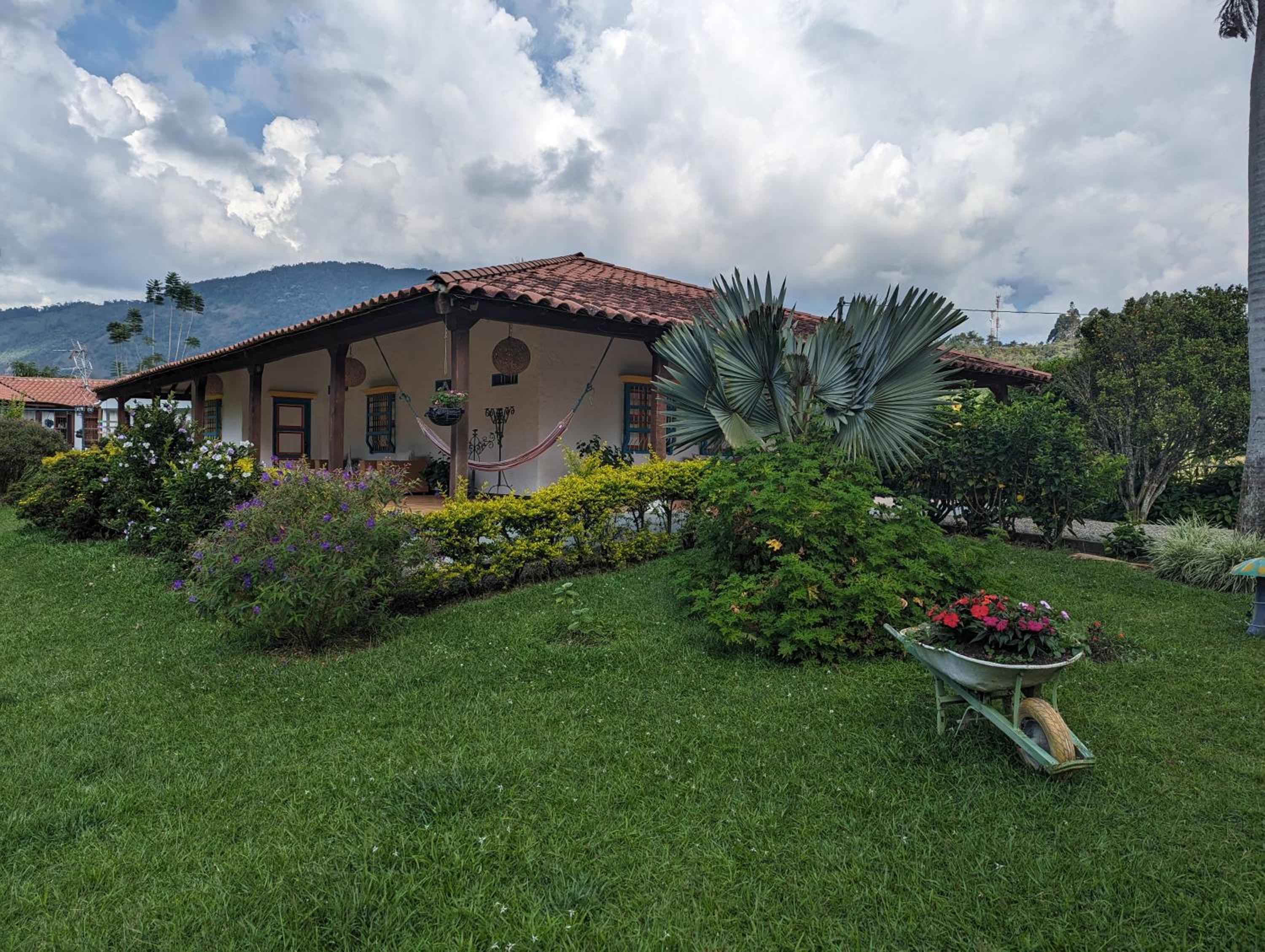 Patio Bonito