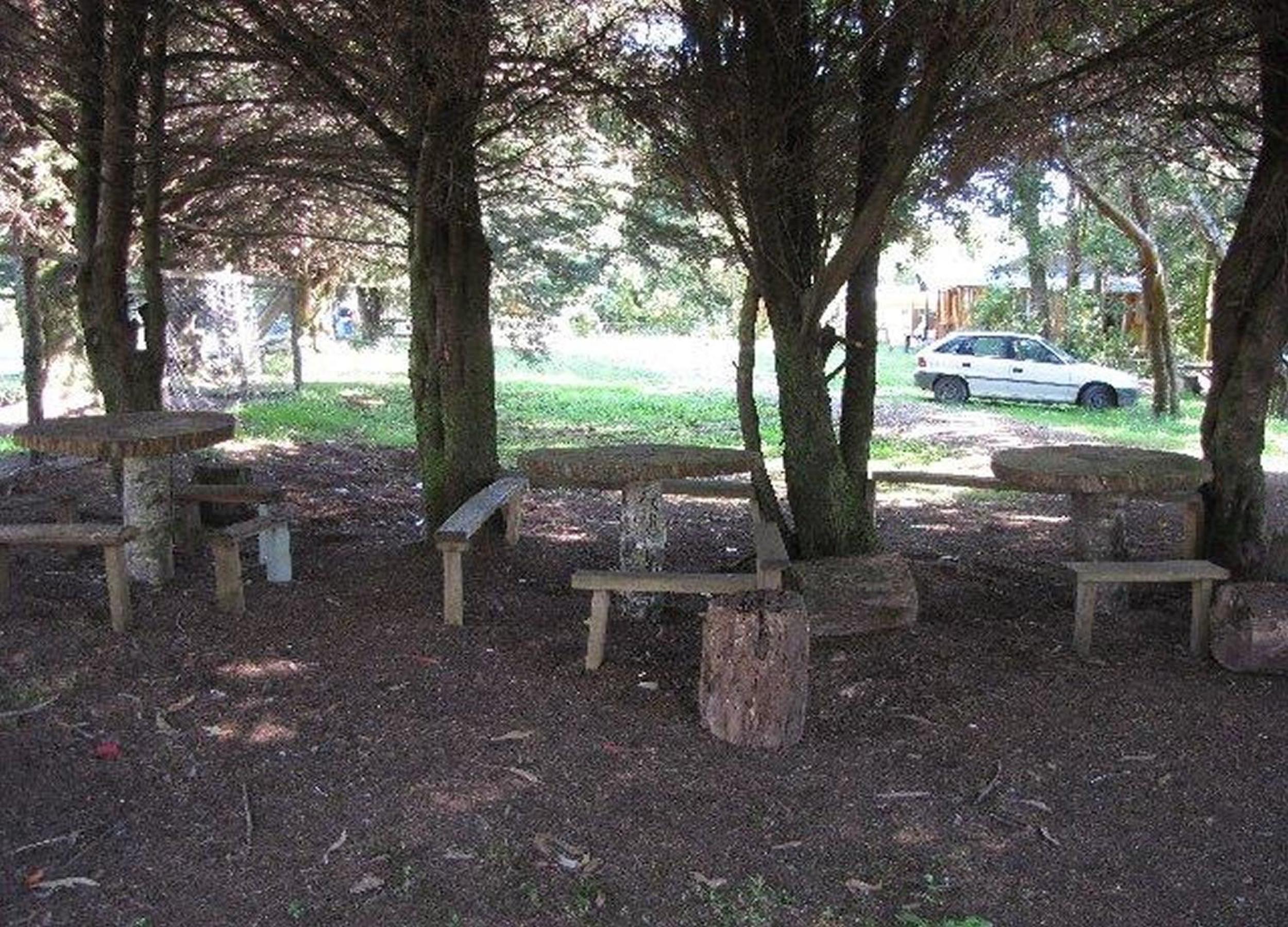 Photo 29