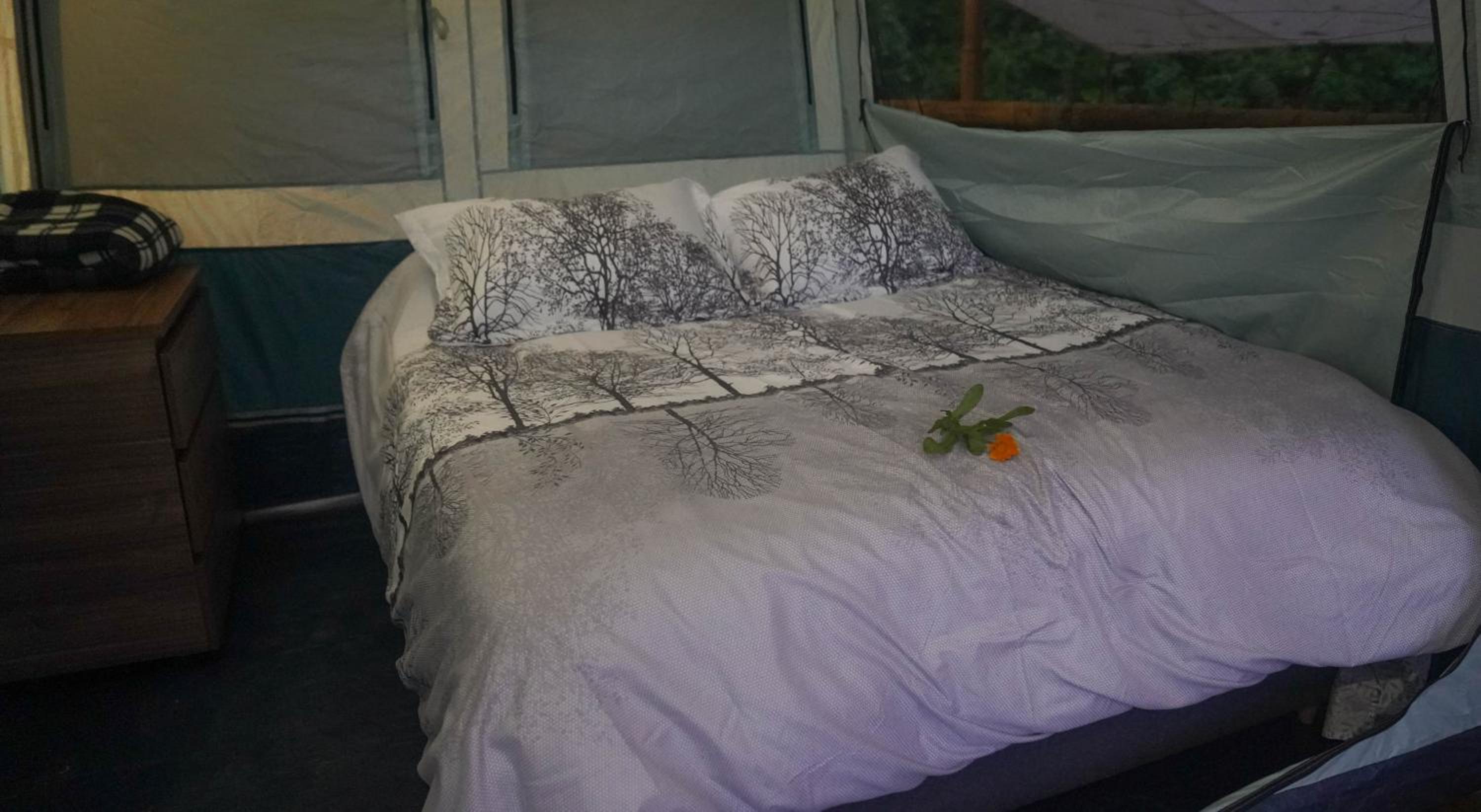 Glamping Salento y Posada Villa Alegría