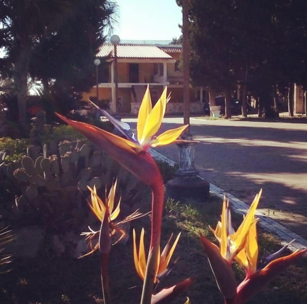 Photo 46