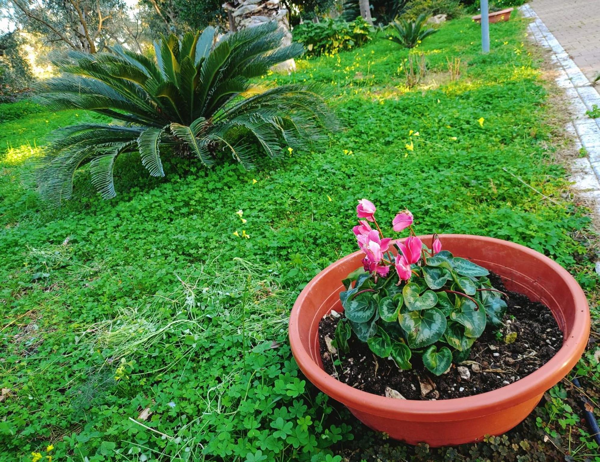 Photo 44
