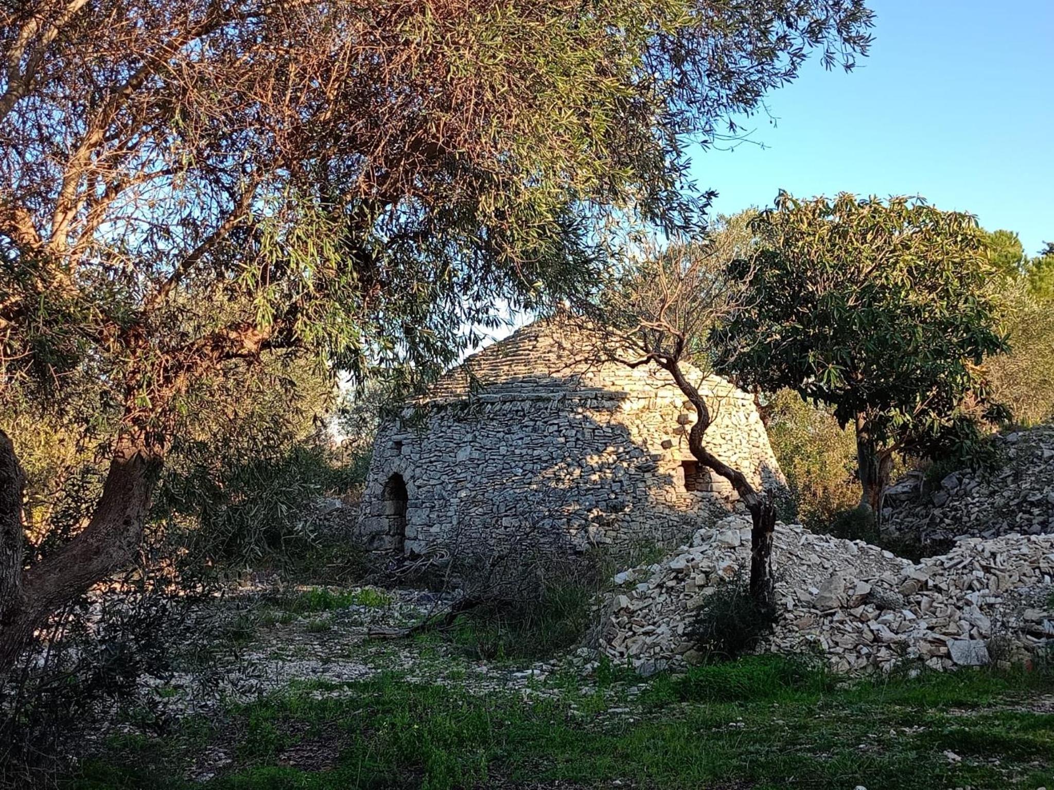 Photo 47