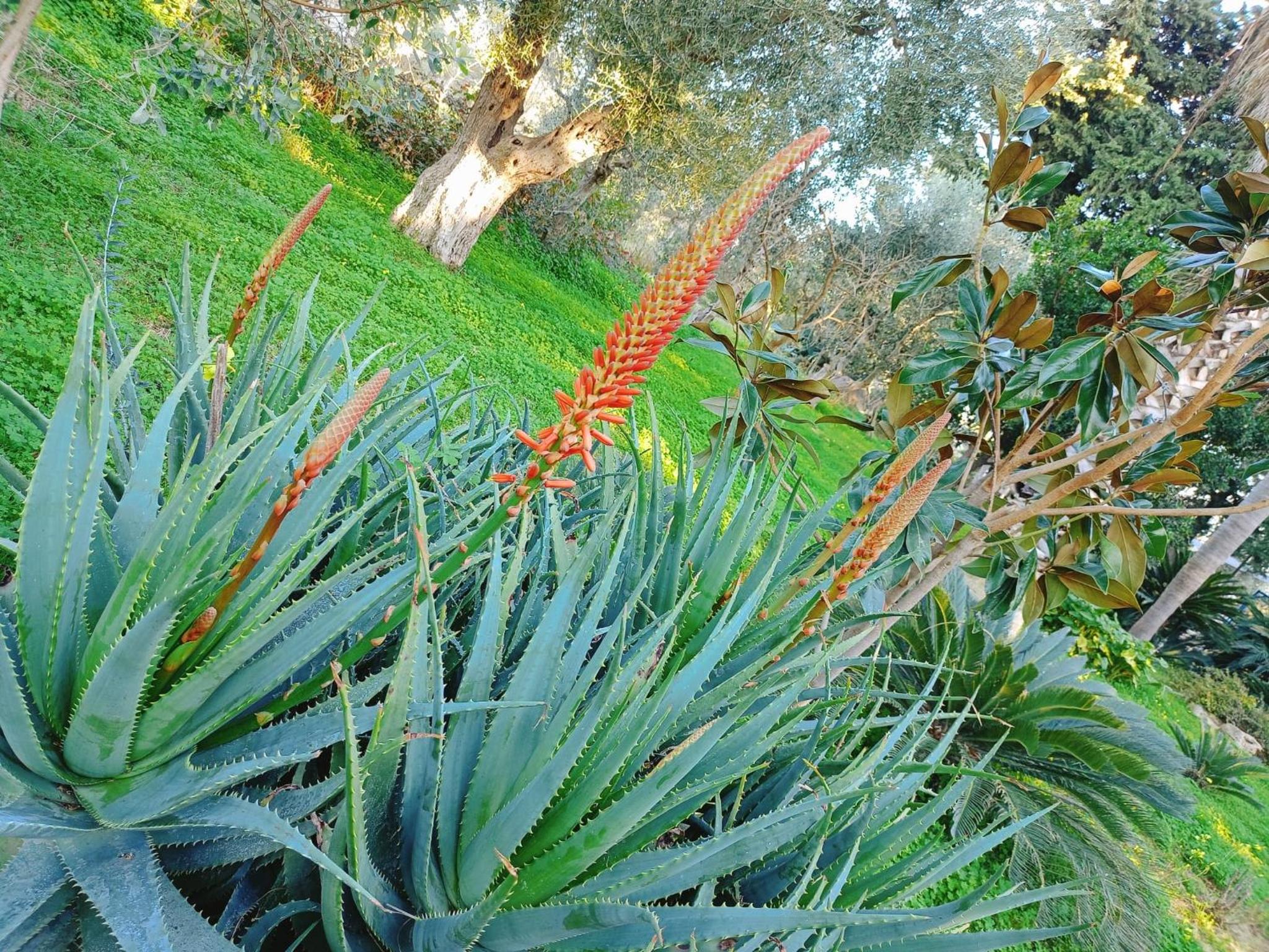 Photo 48