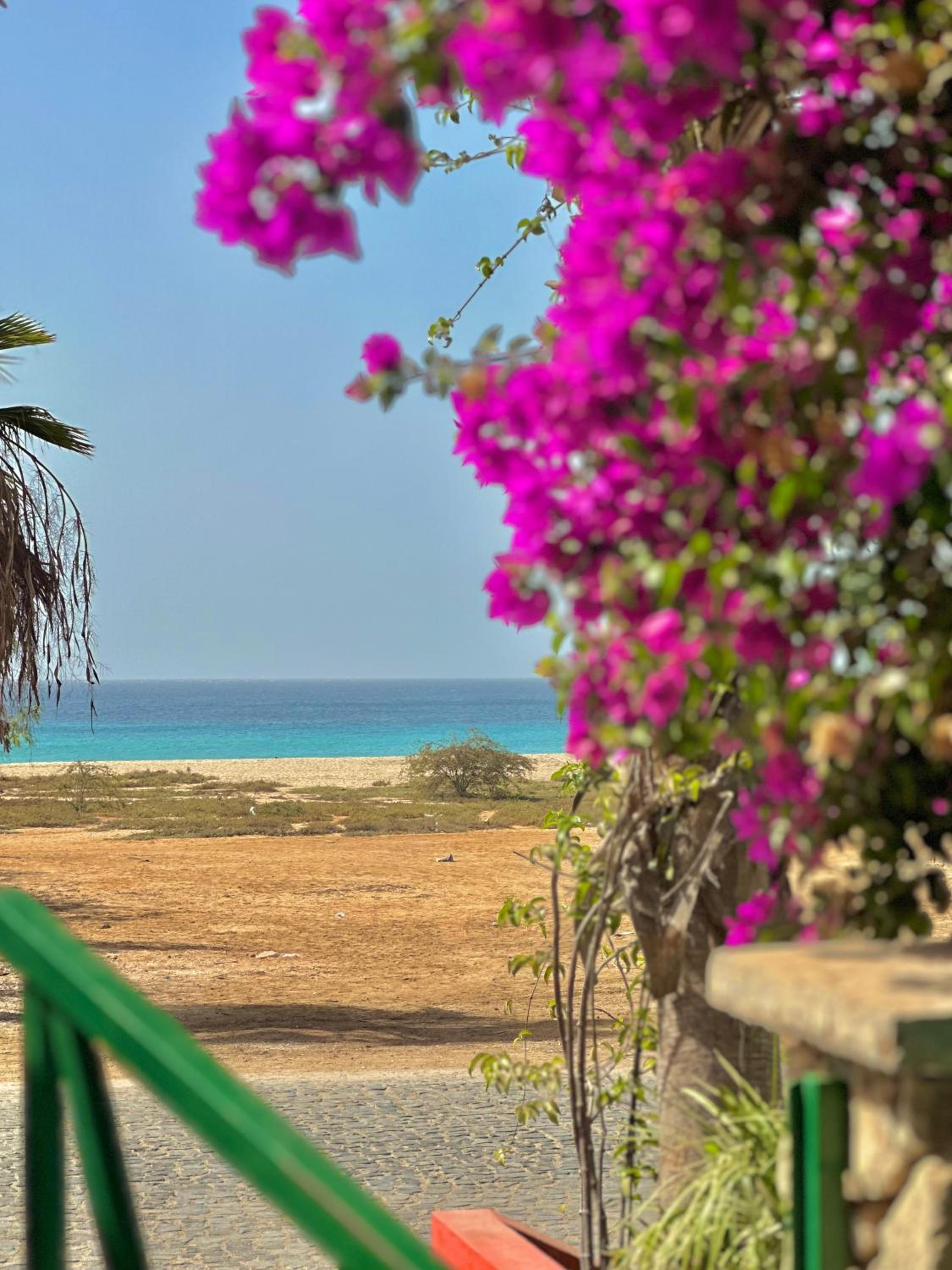 Boutique Apartments Ibiscus