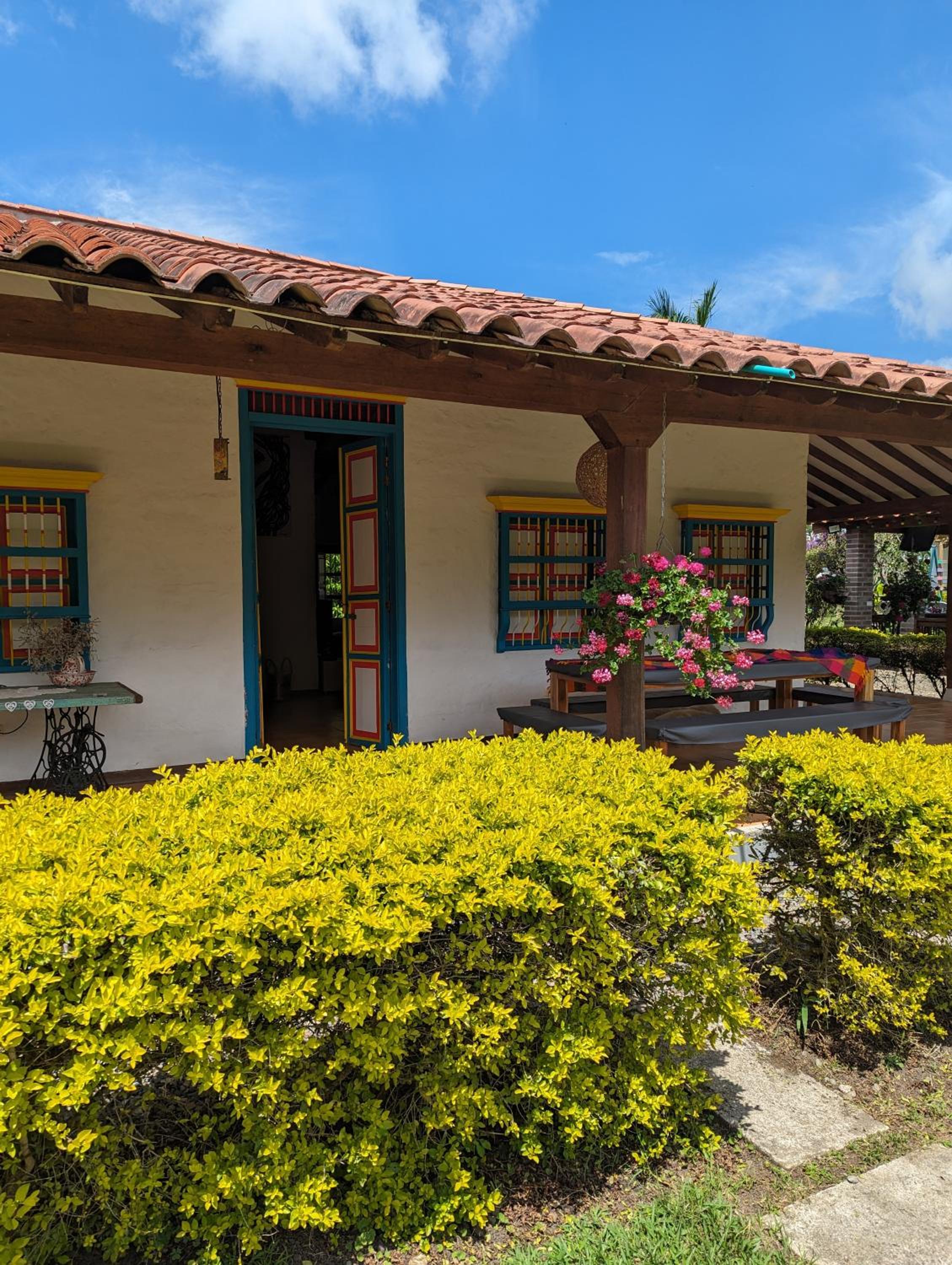 Patio Bonito
