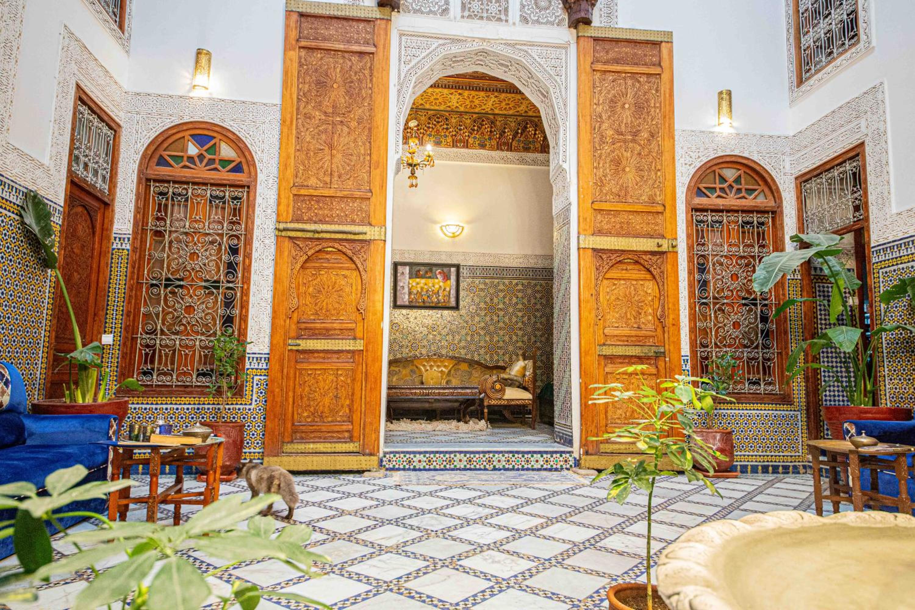 recepcion & lobby