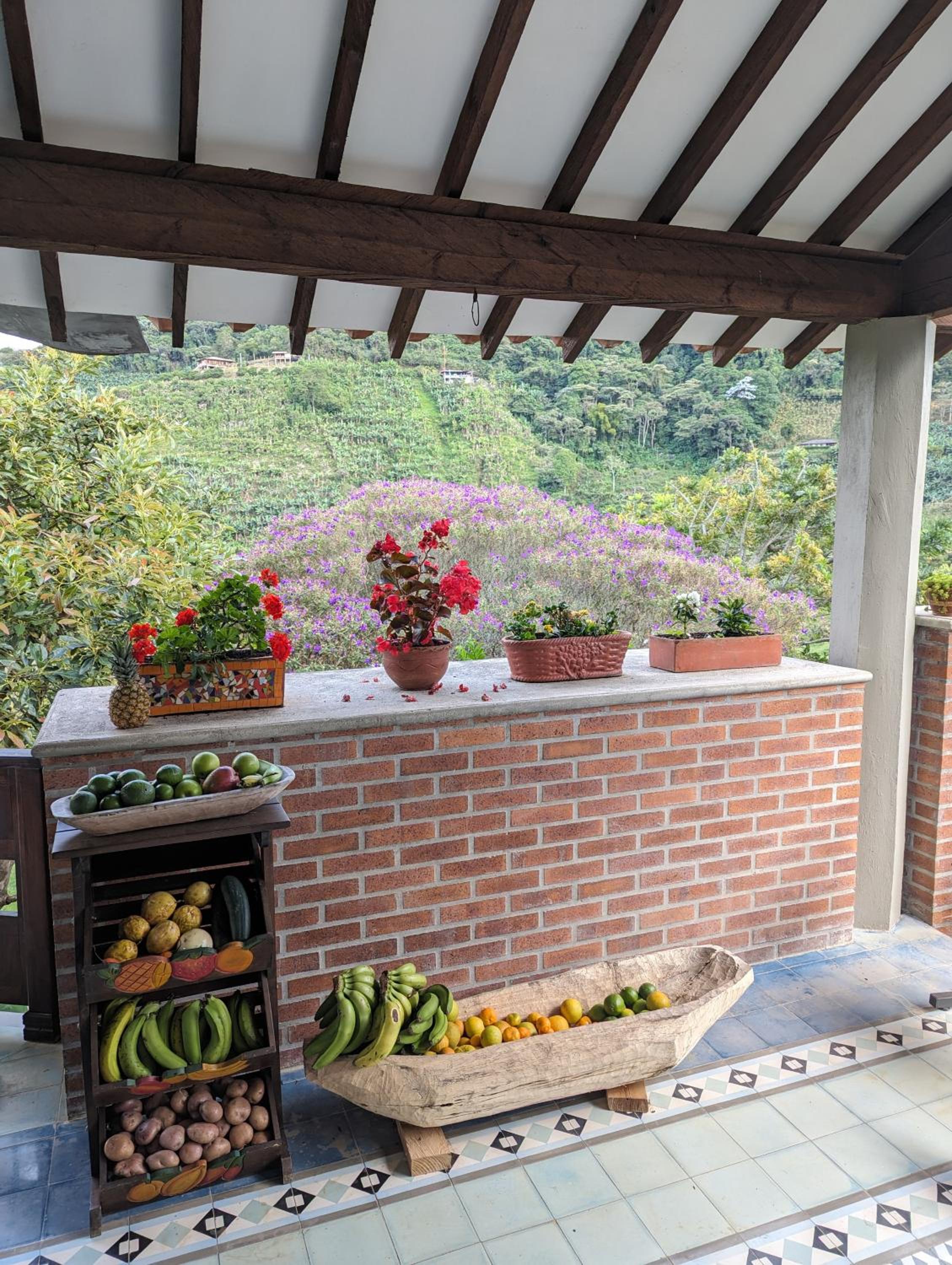 Patio Bonito