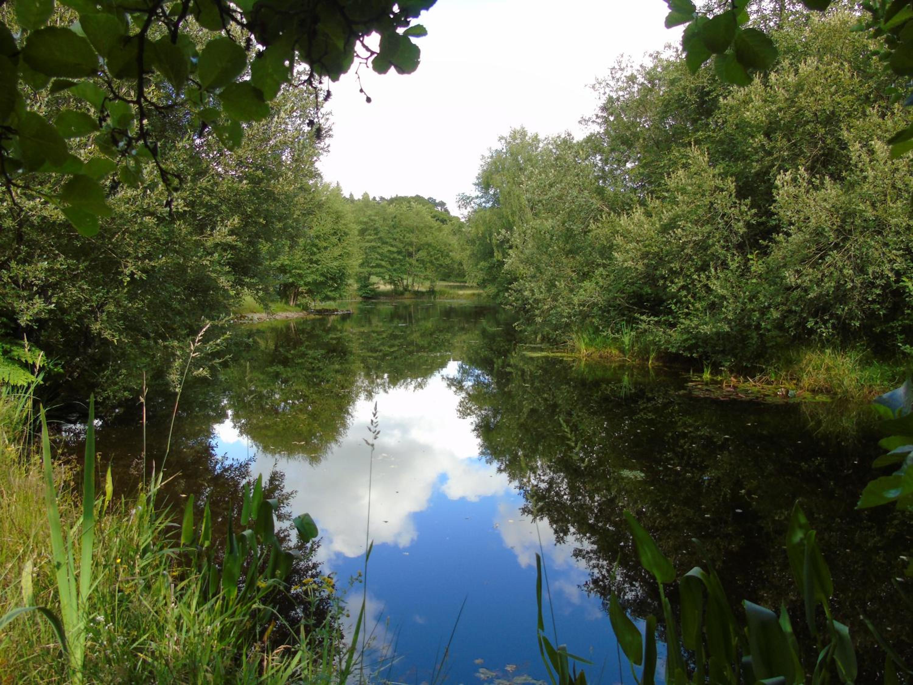 Photo 41