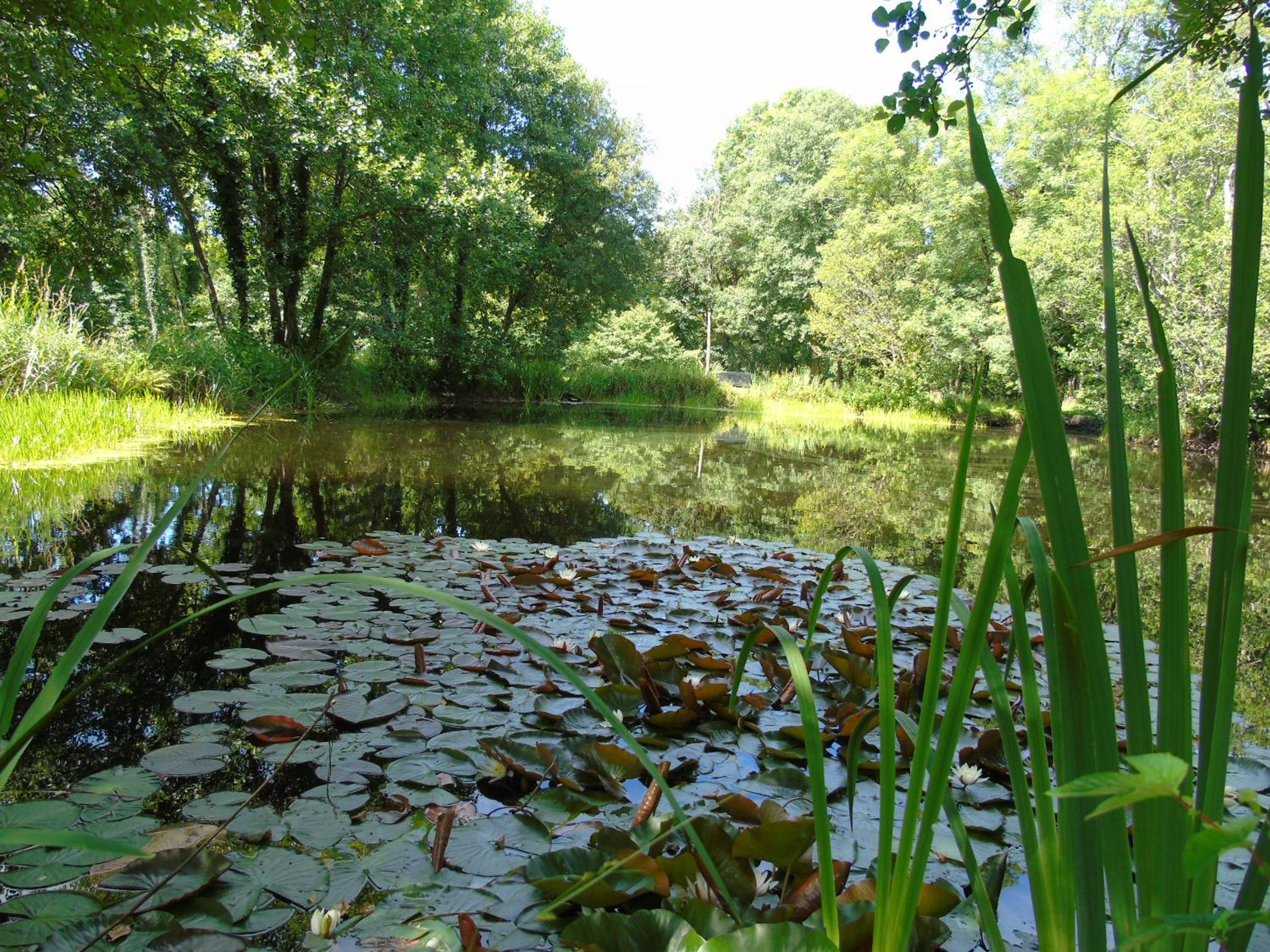 Photo 42