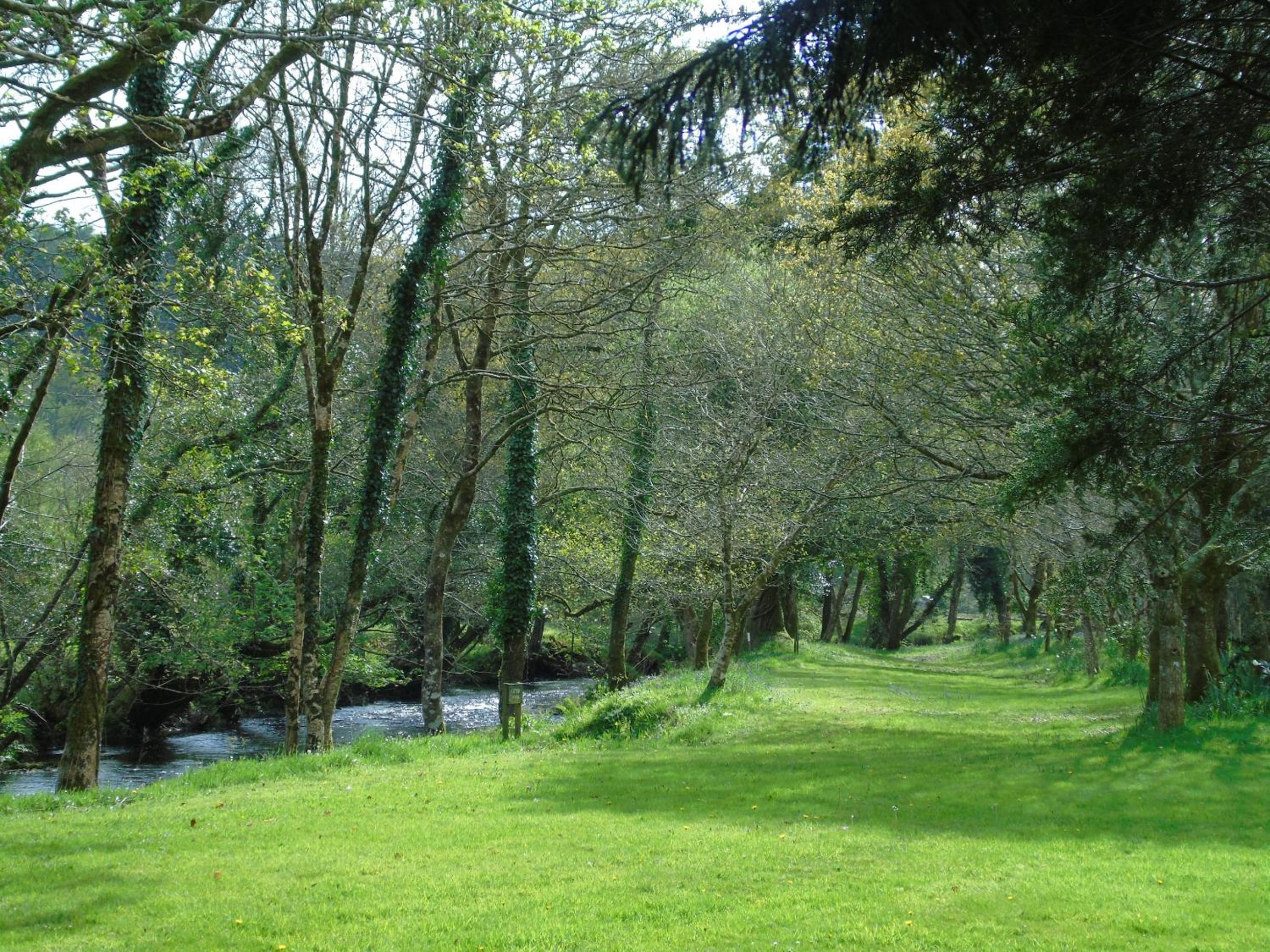 Photo 45