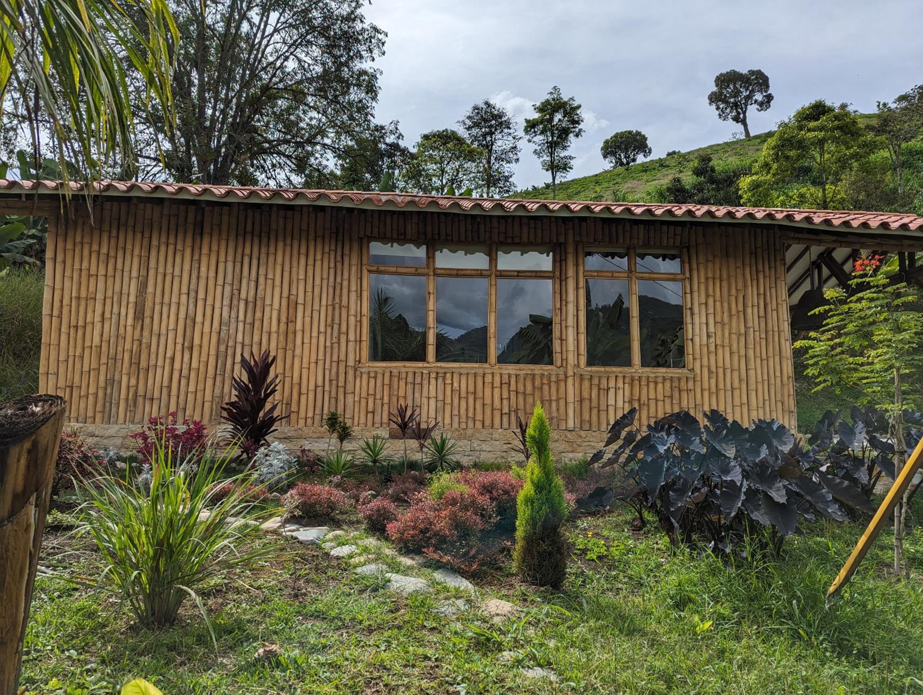 Patio Bonito
