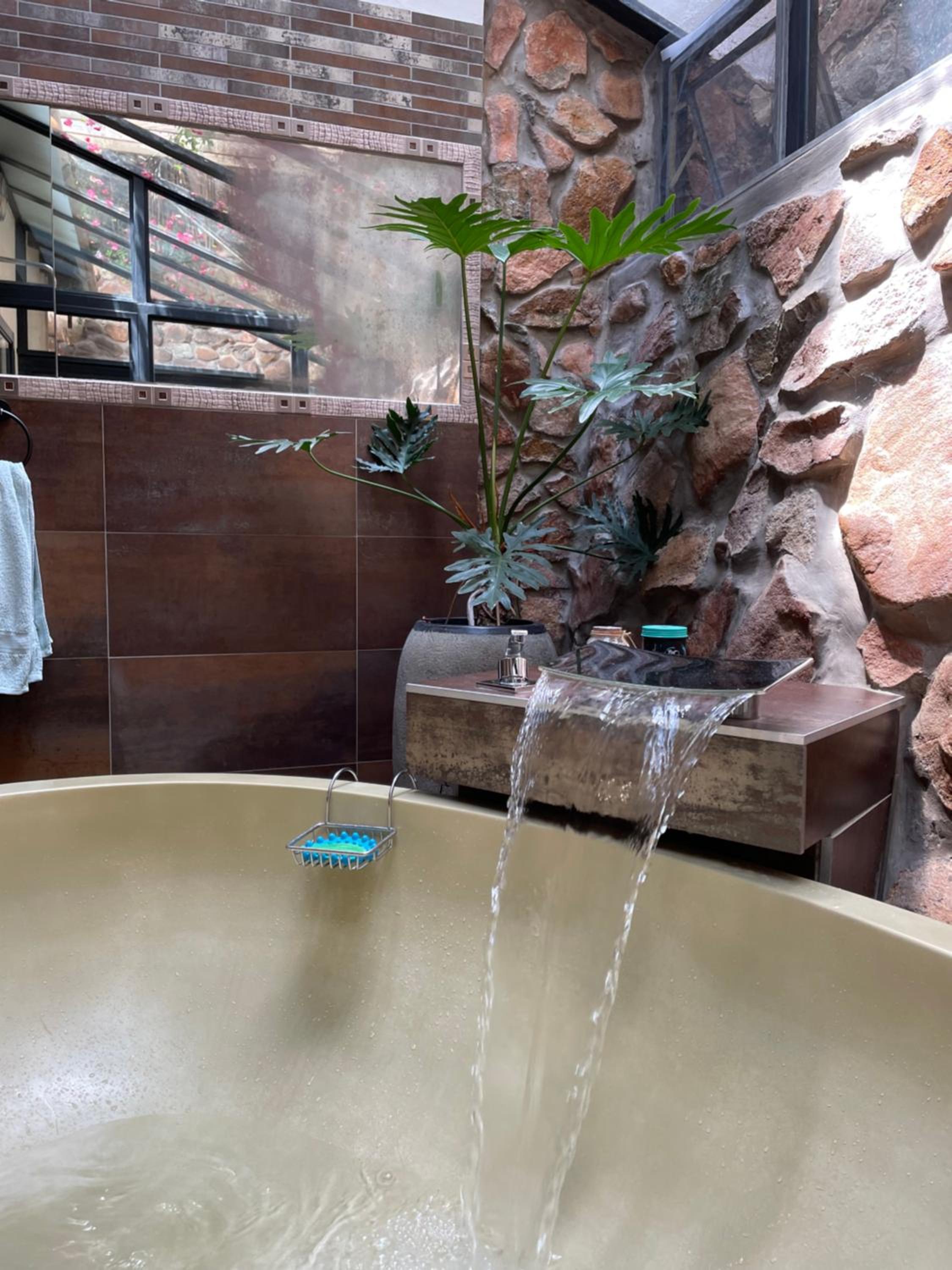 Oasis On Lily with OWN Pool