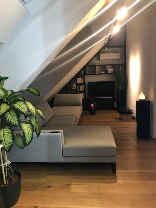 Großzügiges Dachterrassen-Appartment mit Klimaanlage und wunderbarem Ausblick über ganz Wien