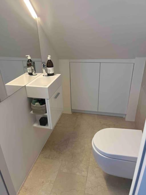 Großzügiges Dachterrassen-Appartment mit Klimaanlage und wunderbarem Ausblick über ganz Wien