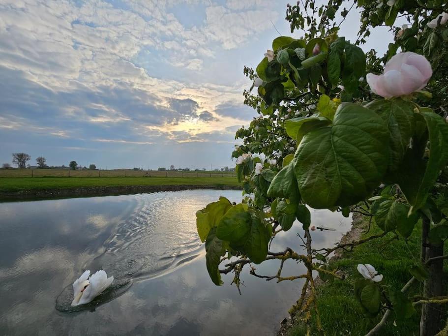 Te Lande, vakantiehuis