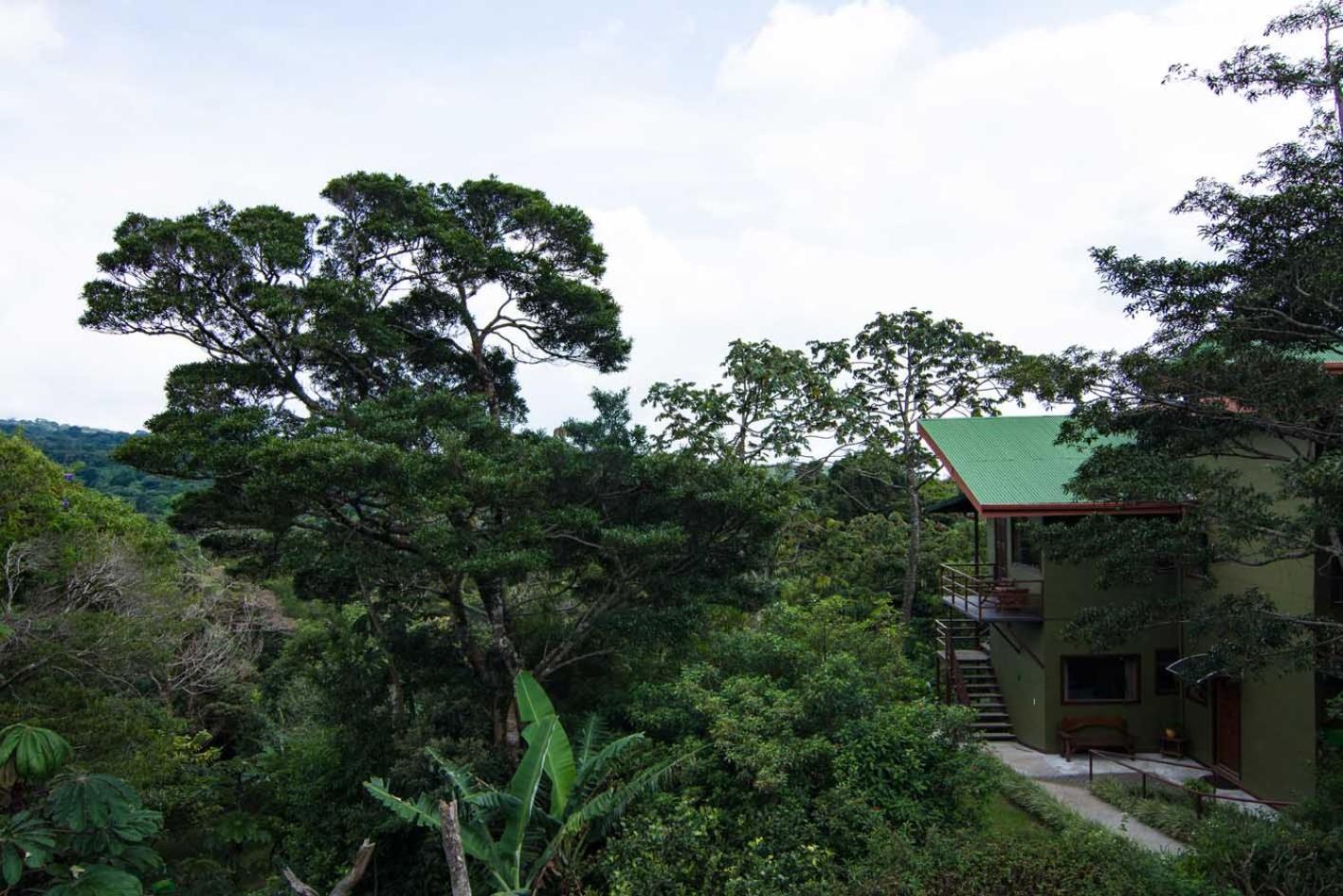 Cala Lodge