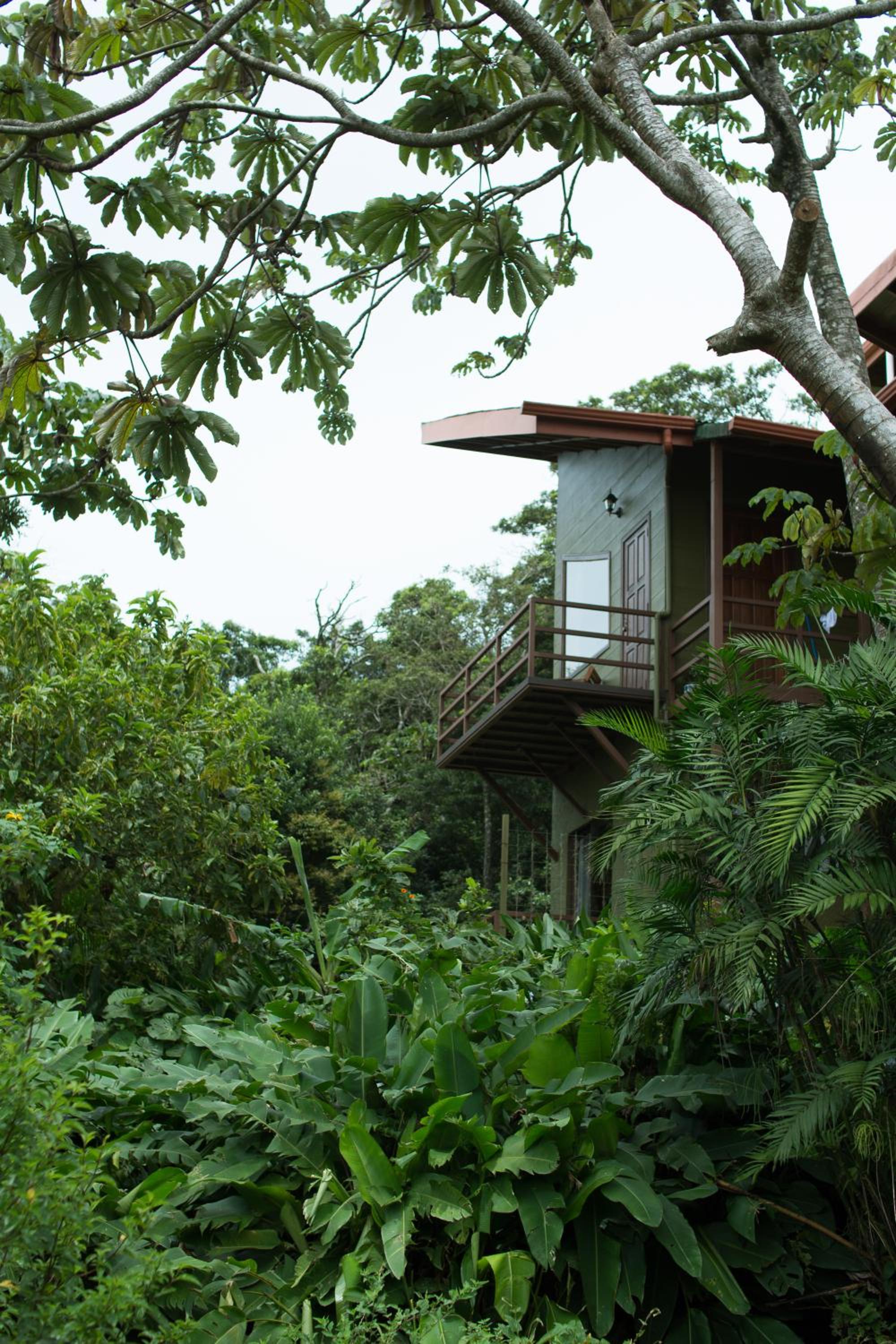 Cala Lodge