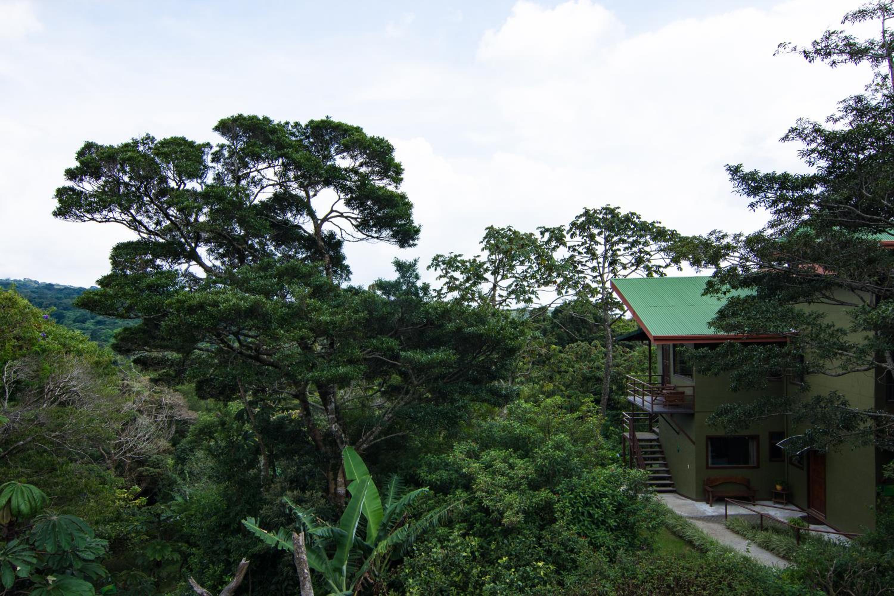 Cala Lodge